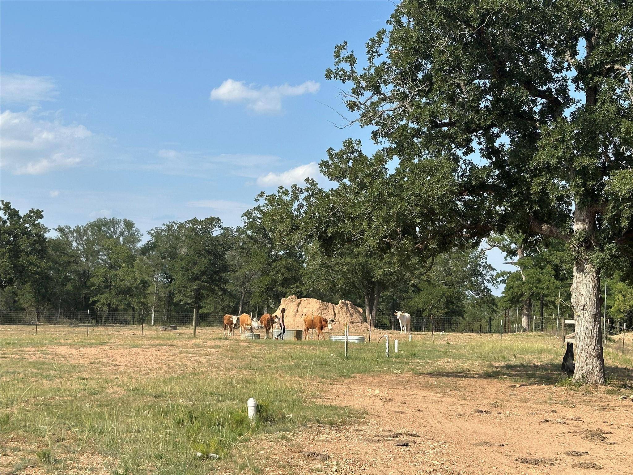 10096 S Us Highway 183 HWY, Lockhart, TX 78644