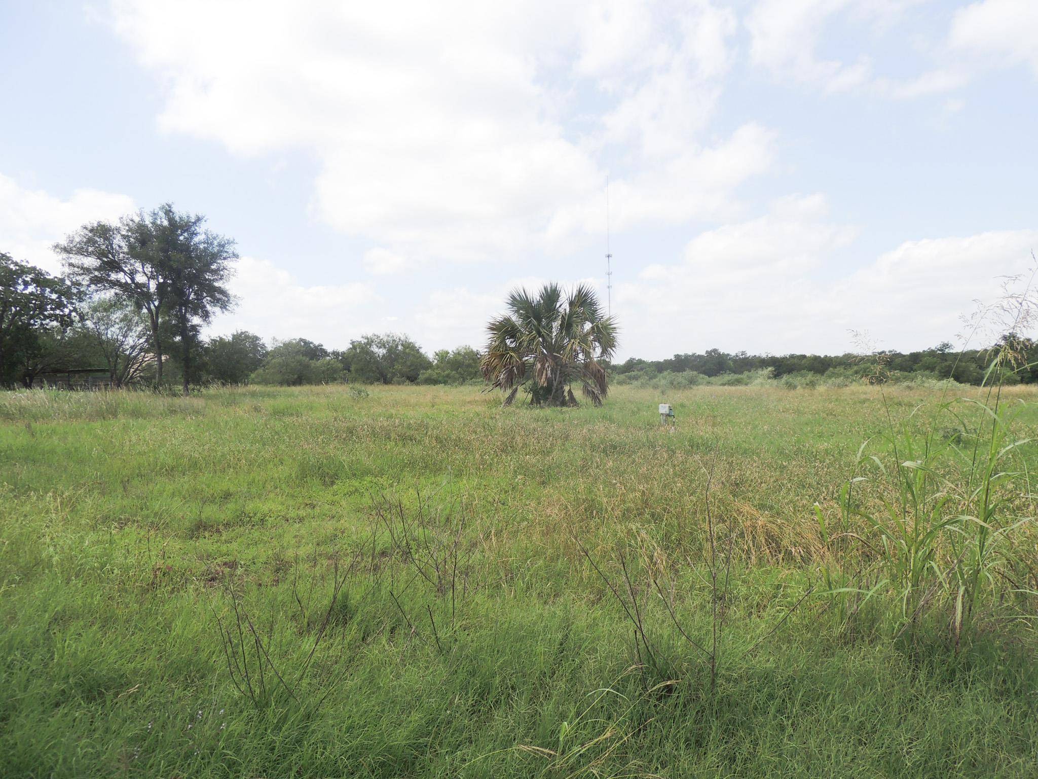 267 Linam LN, Cedar Creek, TX 78612