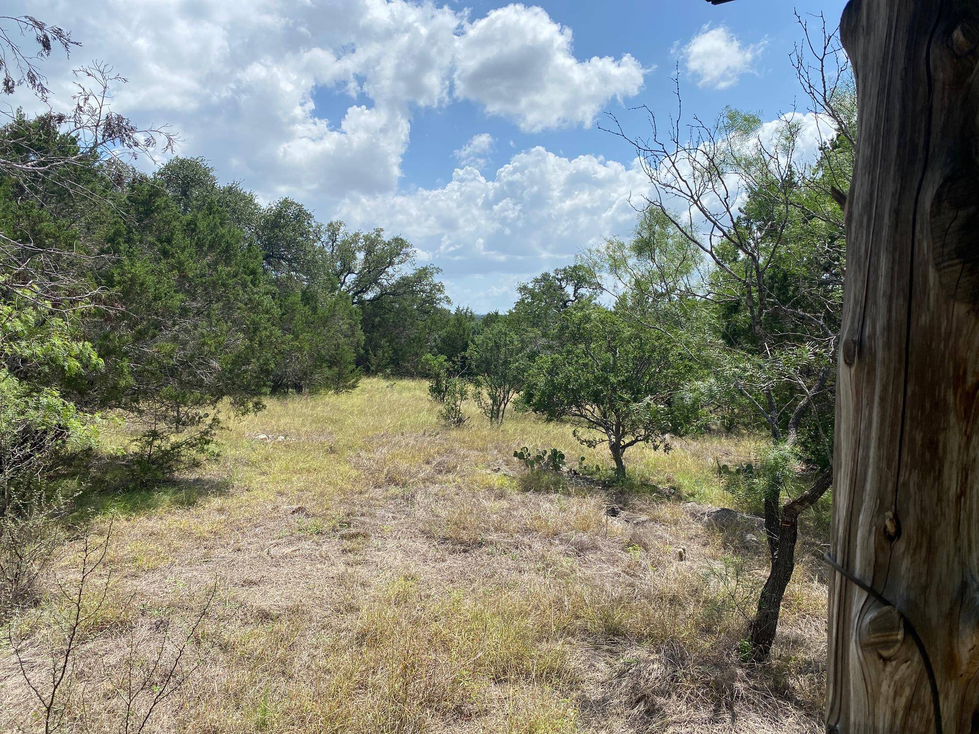 Lot 31 Pedernales Oaks DR, Johnson City, TX 78636