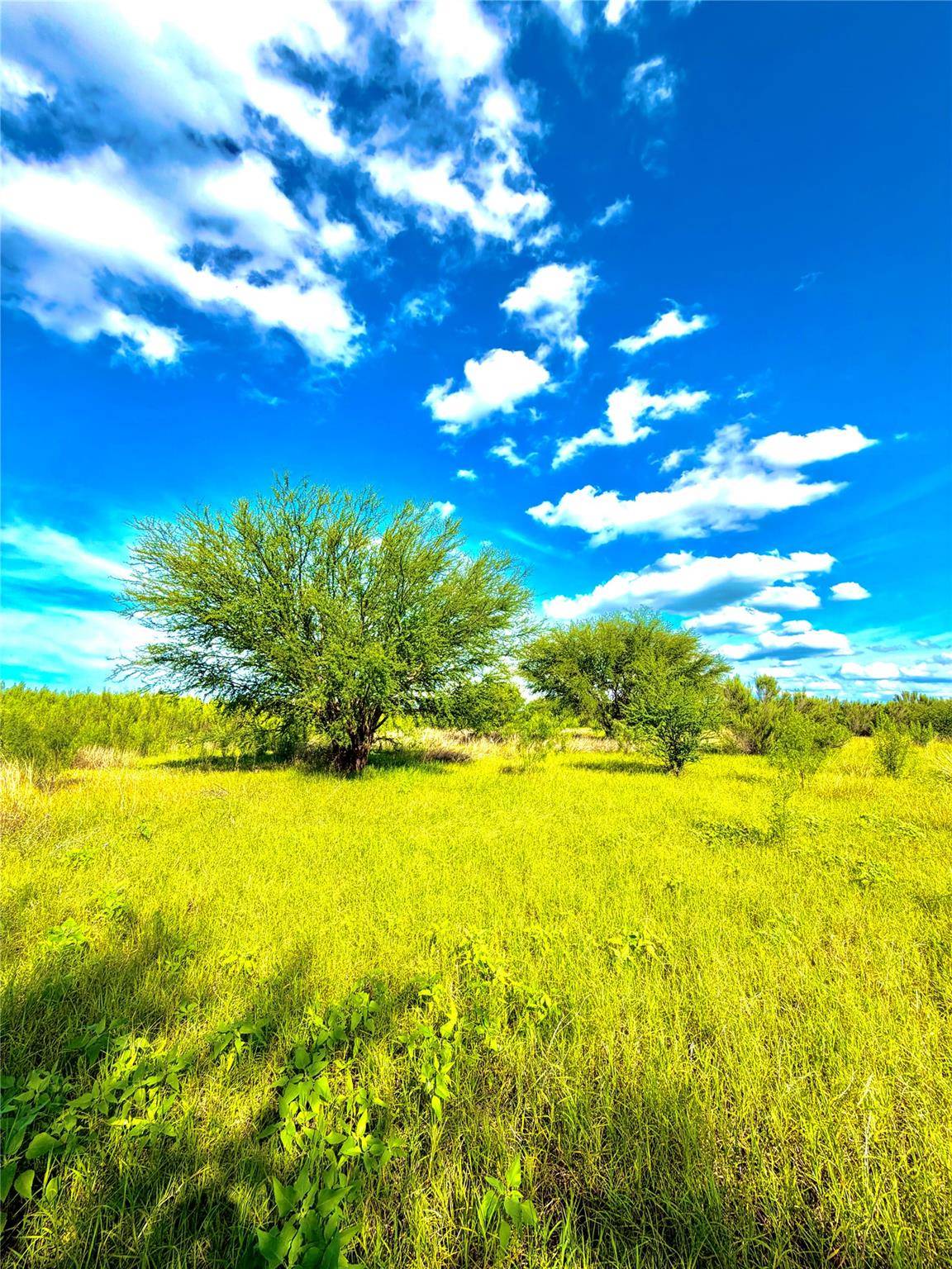 TBD Tract H County Road 512, Hondo, TX 78850