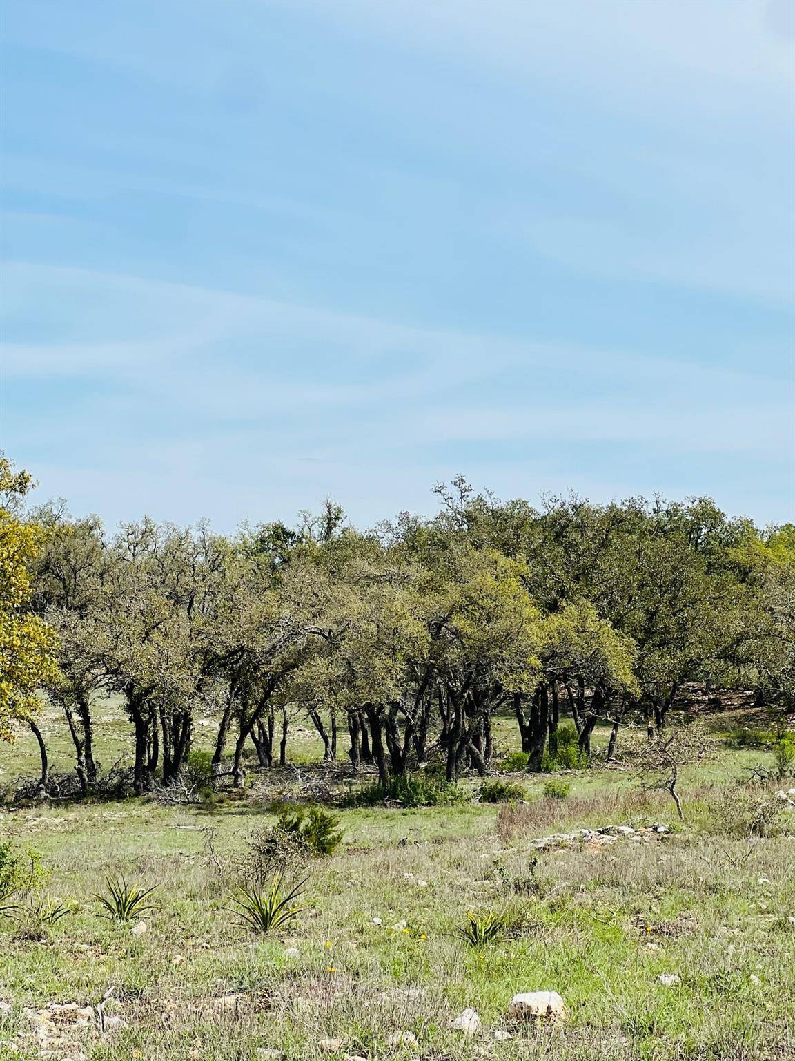 Lot 8 W Flying Owl DR, Johnson City, TX 78636