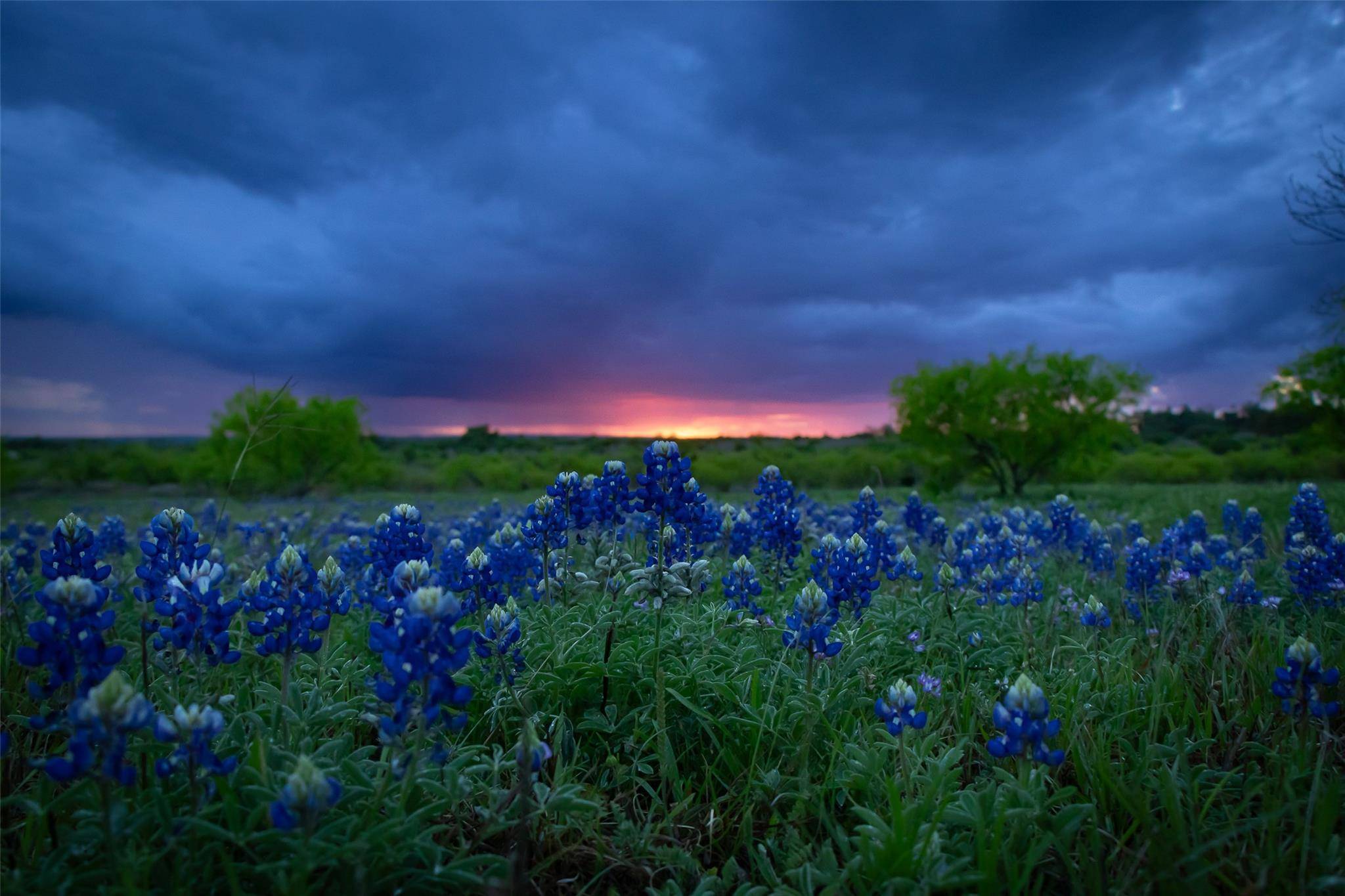 272 Slate Rock RD, Willow City, TX 78675