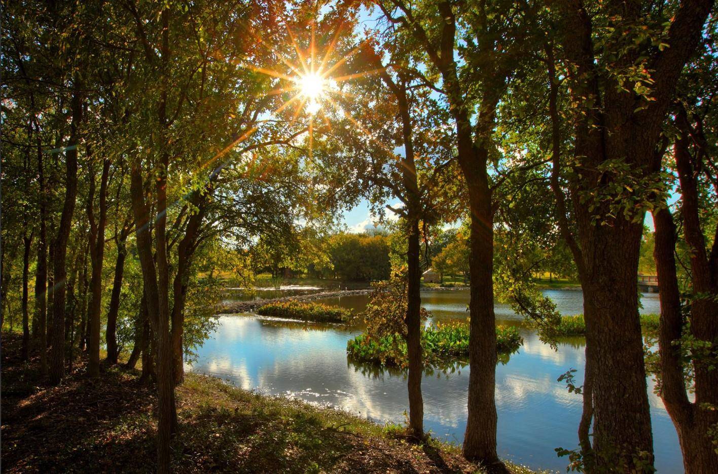 198 Midnight Valley DR, Cedar Creek, TX 78612