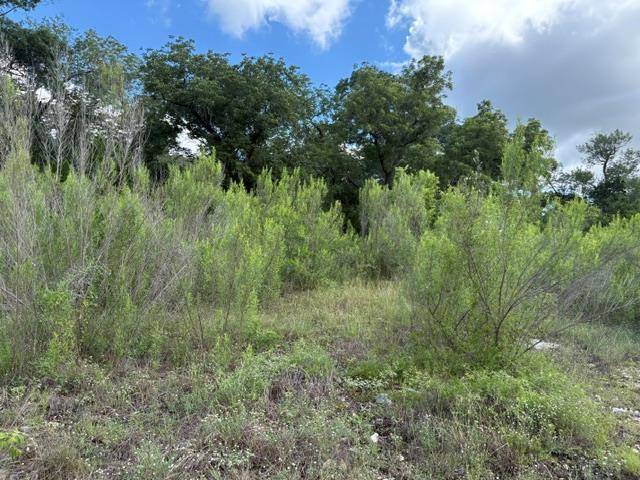 19615 Terra Mont DR, San Antonio, TX 78255