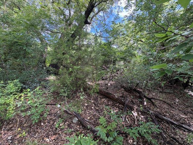 19615 Terra Mont DR, San Antonio, TX 78255