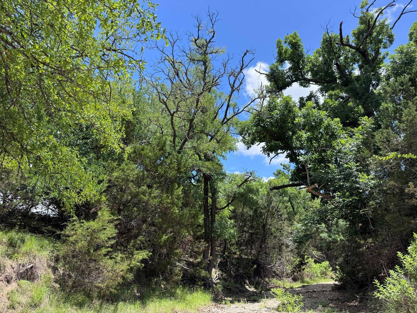 312 Oak Stump DR, Goldthwaite, TX 76844