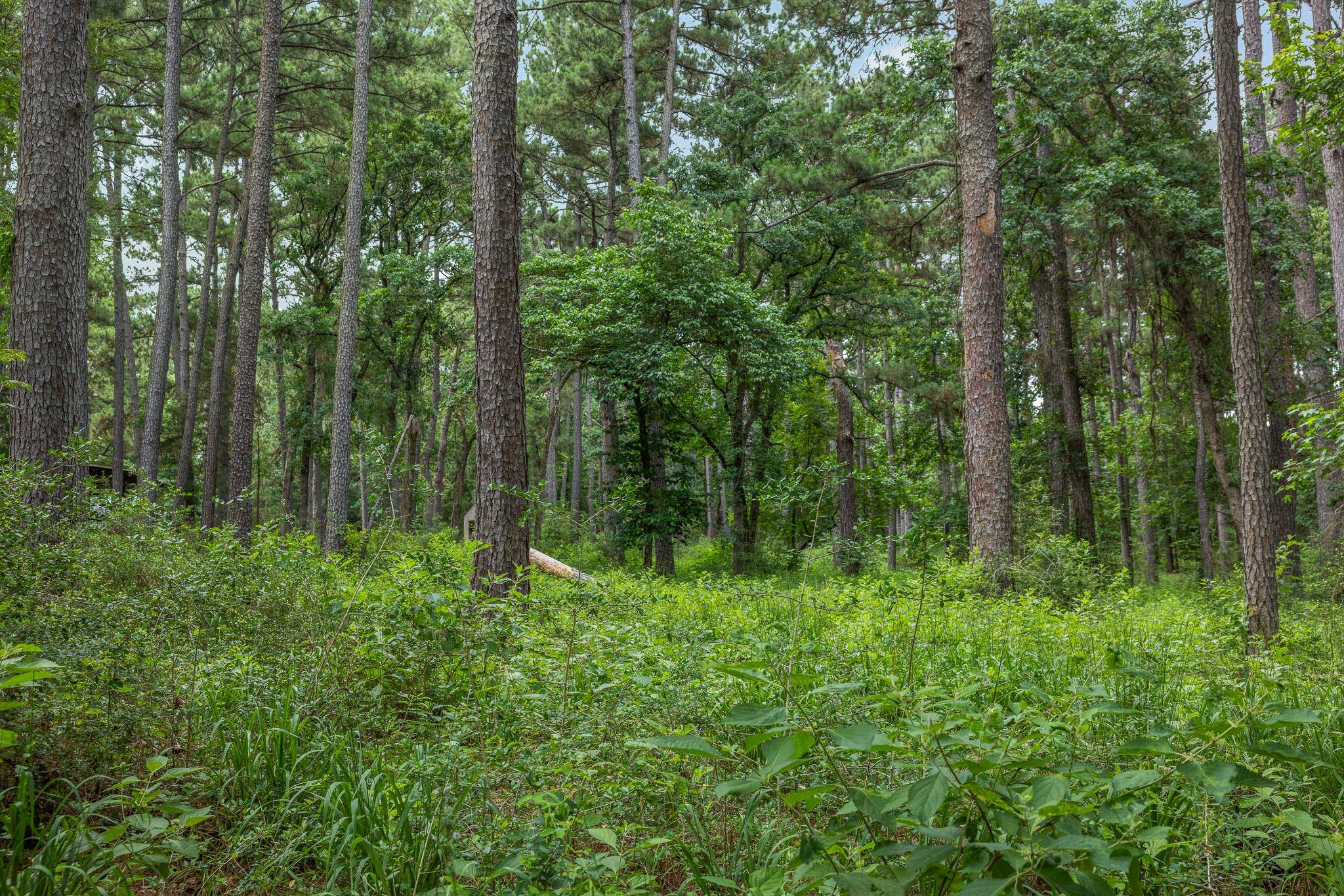 5772 PR 2065, Centerville, TX 75833