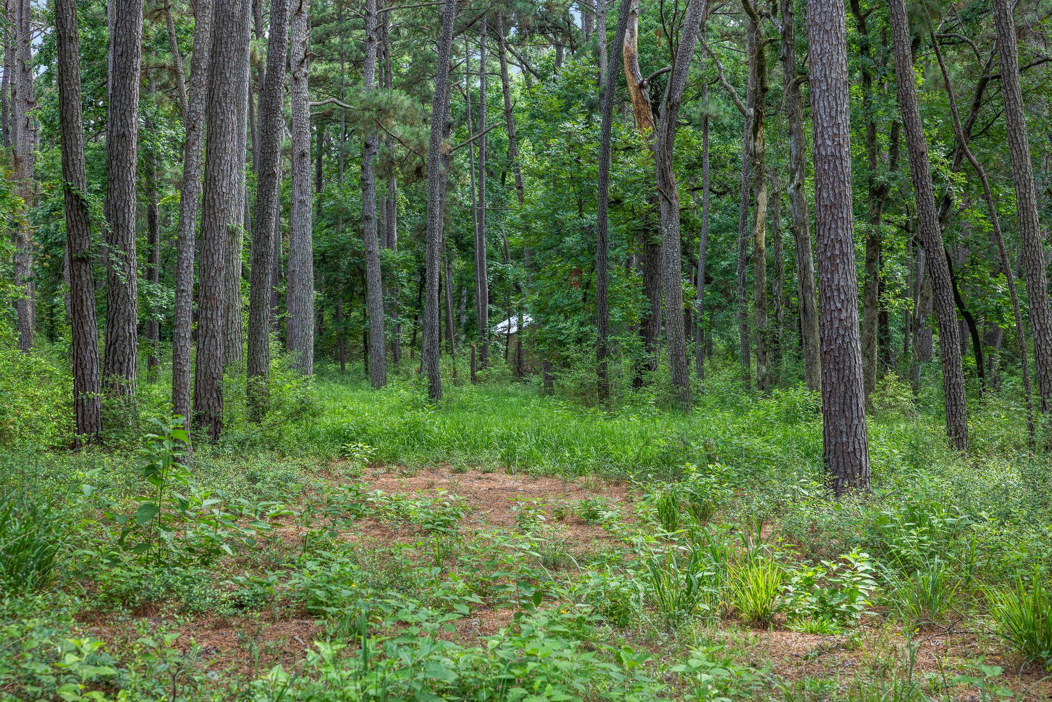 5772 PR 2065, Centerville, TX 75833