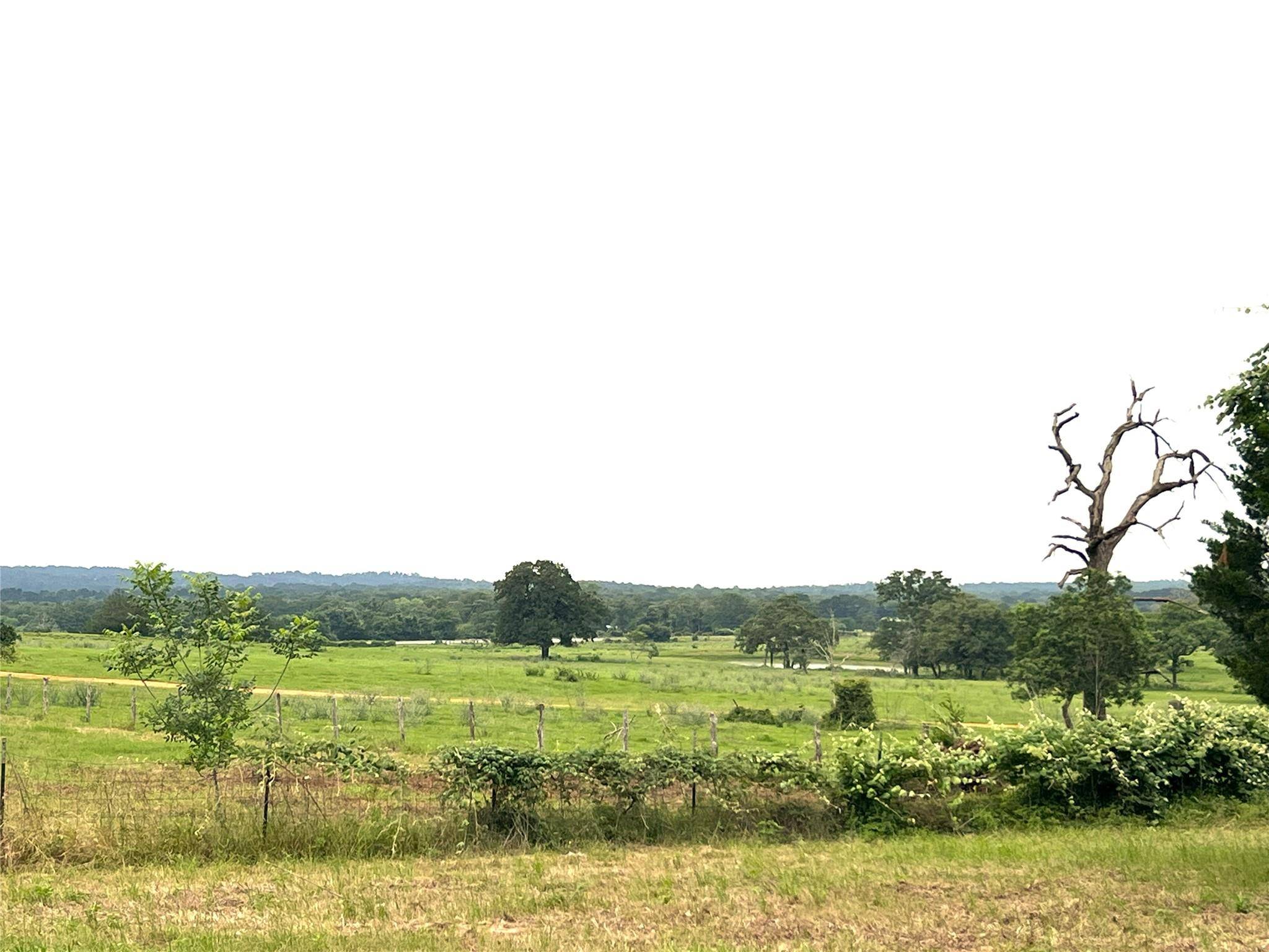 160 Rosanky Cattle Company RD, Smithville, TX 78957