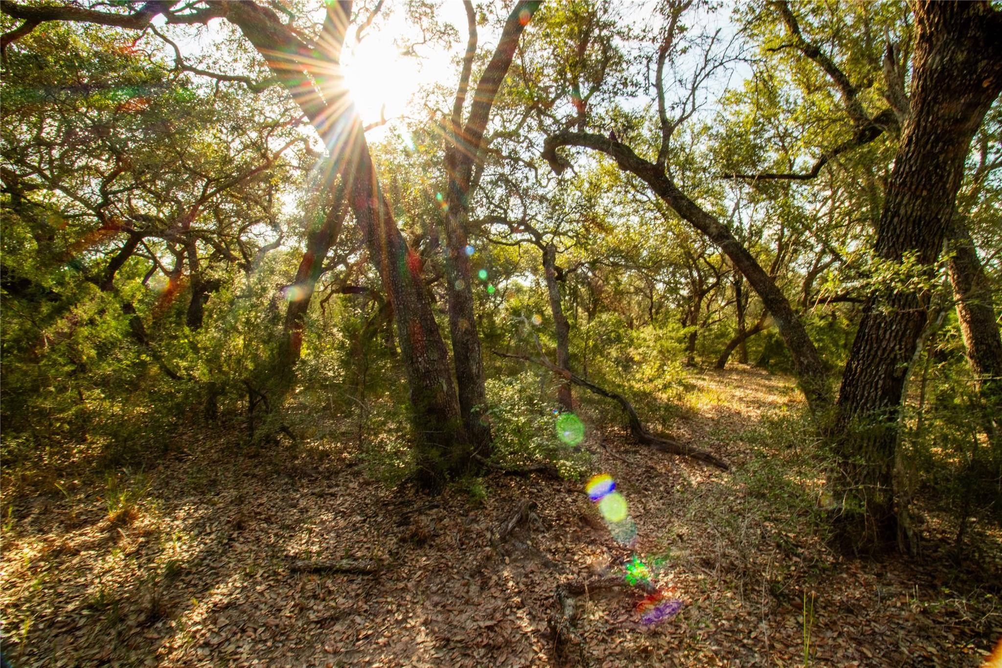 001 County Road 15, Hallettsville, TX 77964