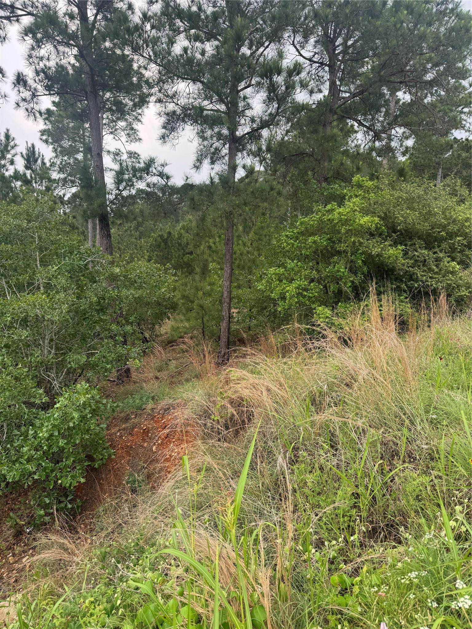 Lot 1613 Kaanapali LN, Bastrop, TX 78602
