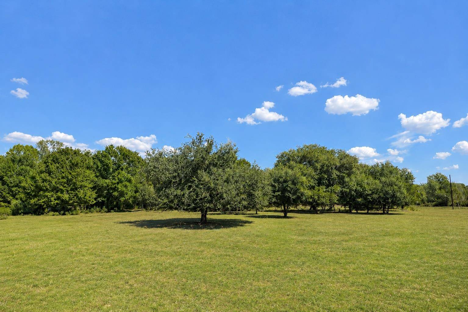 3995 COUNTY ROAD 405, Lexington, TX 78947