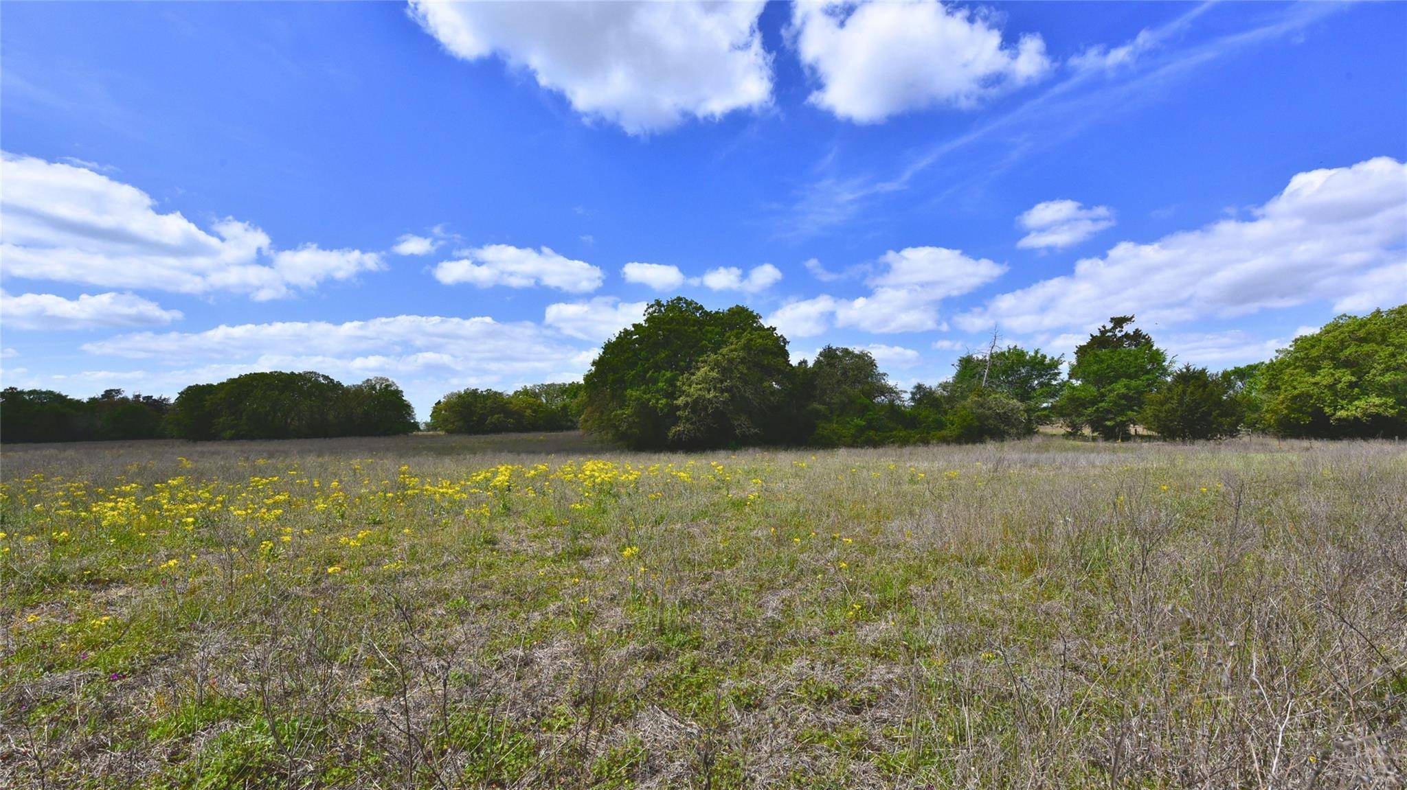 TBD Legacy Road (5 acres), Caldwell, TX 77836