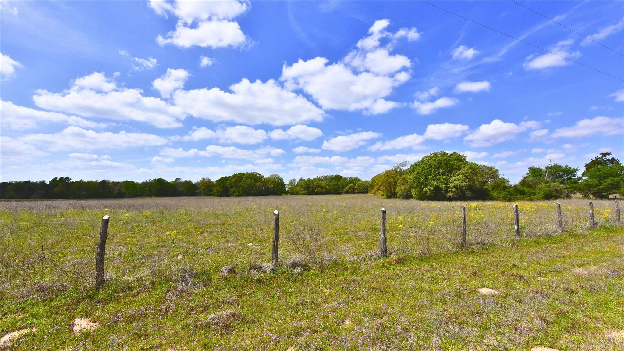 TBD Legacy Road (5 acres), Caldwell, TX 77836