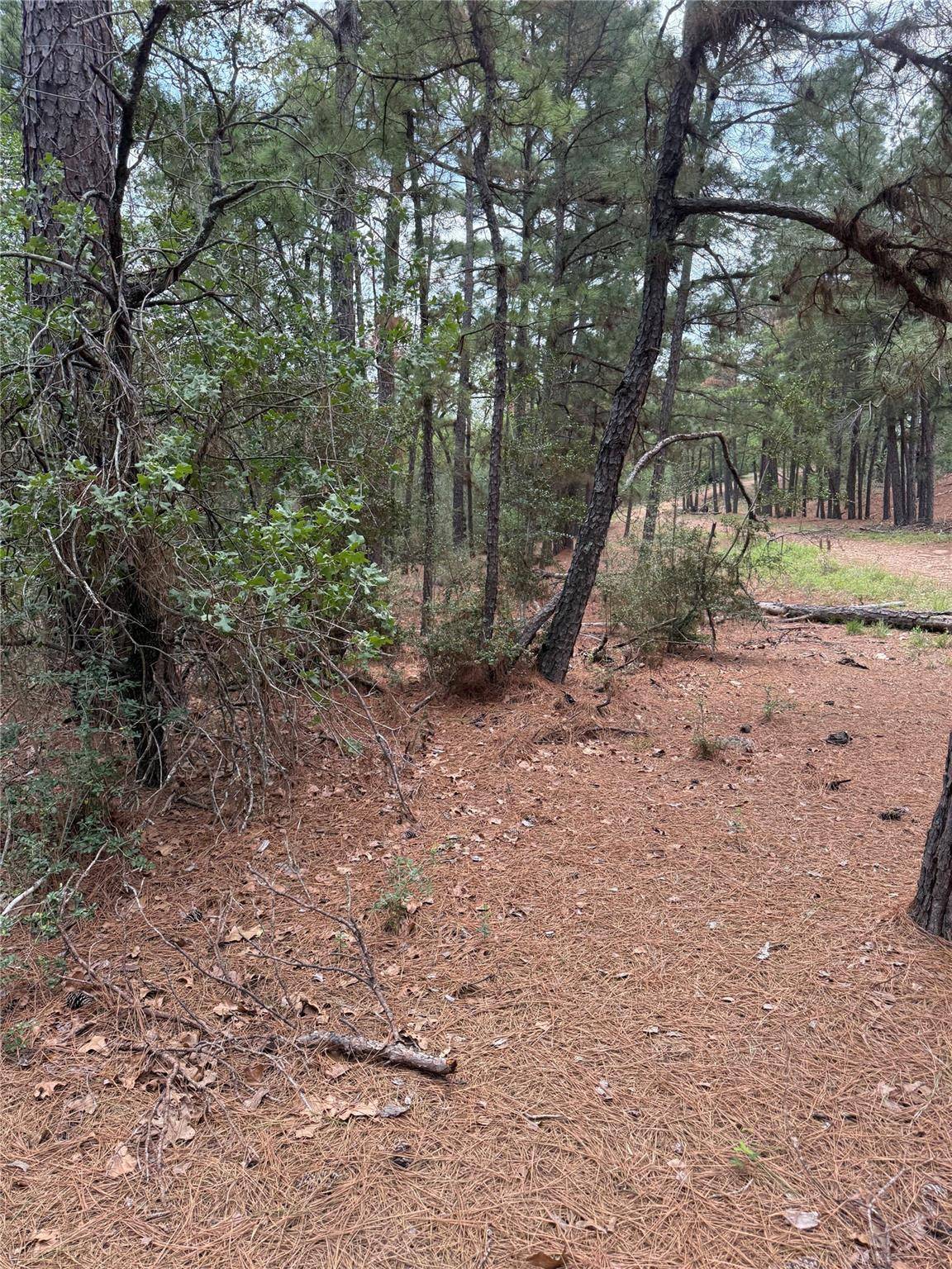 Lot 35 Tanglewood DR, Bastrop, TX 78602