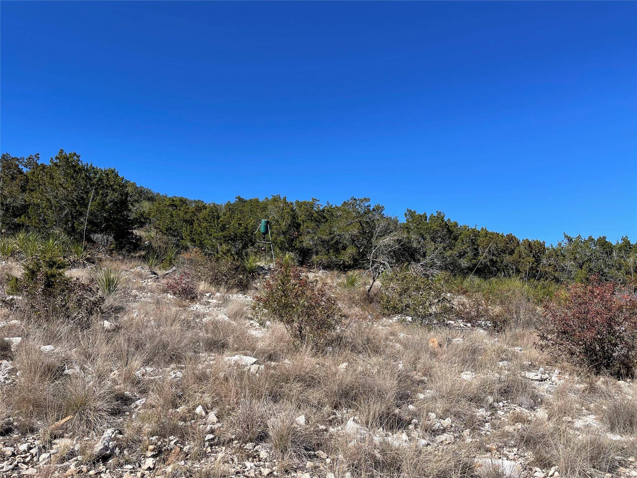 305 Walnut Springs Ranch RD, Uvalde, TX 78801