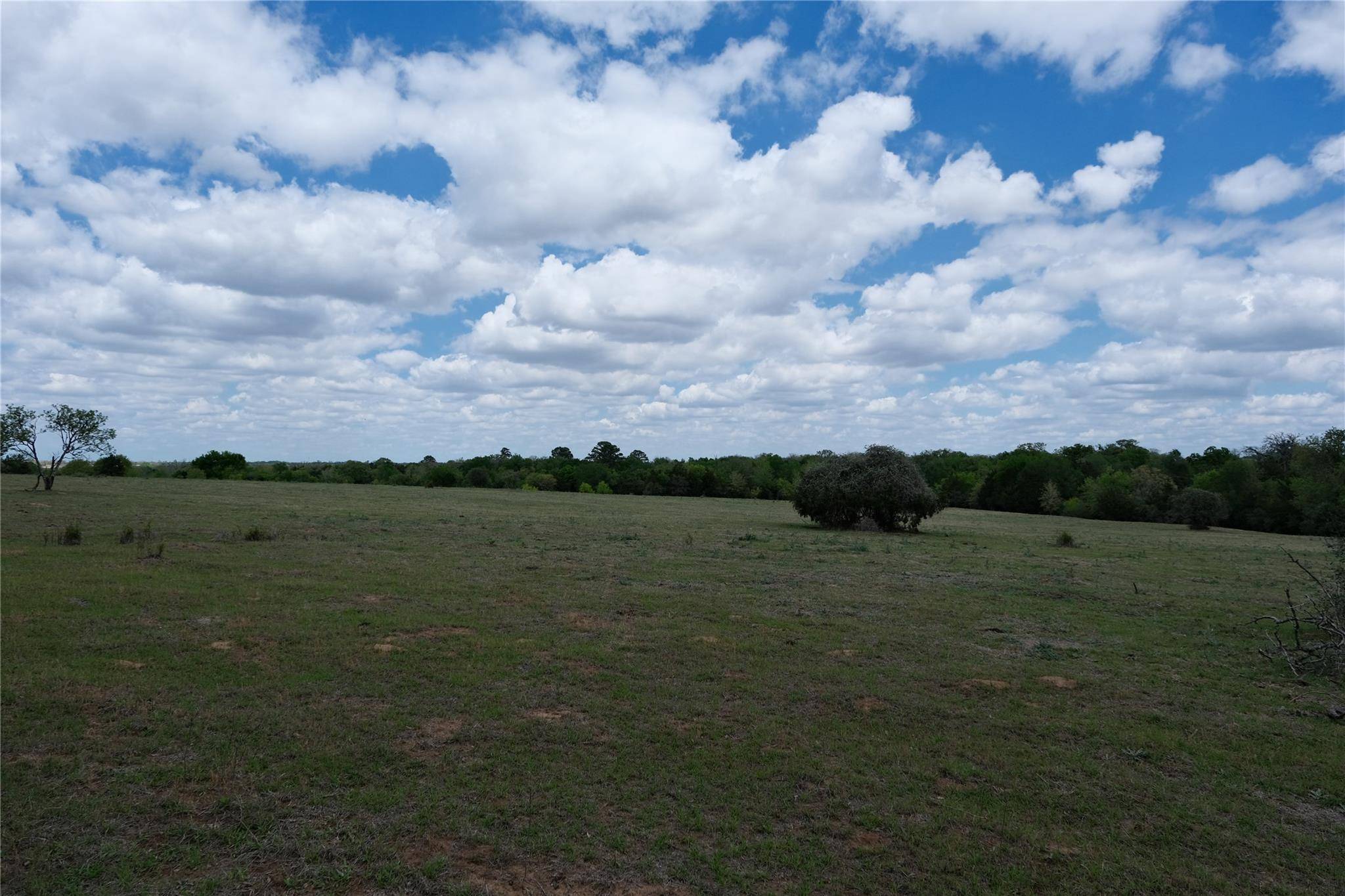 446 Herron TRL, Mcdade, TX 78650