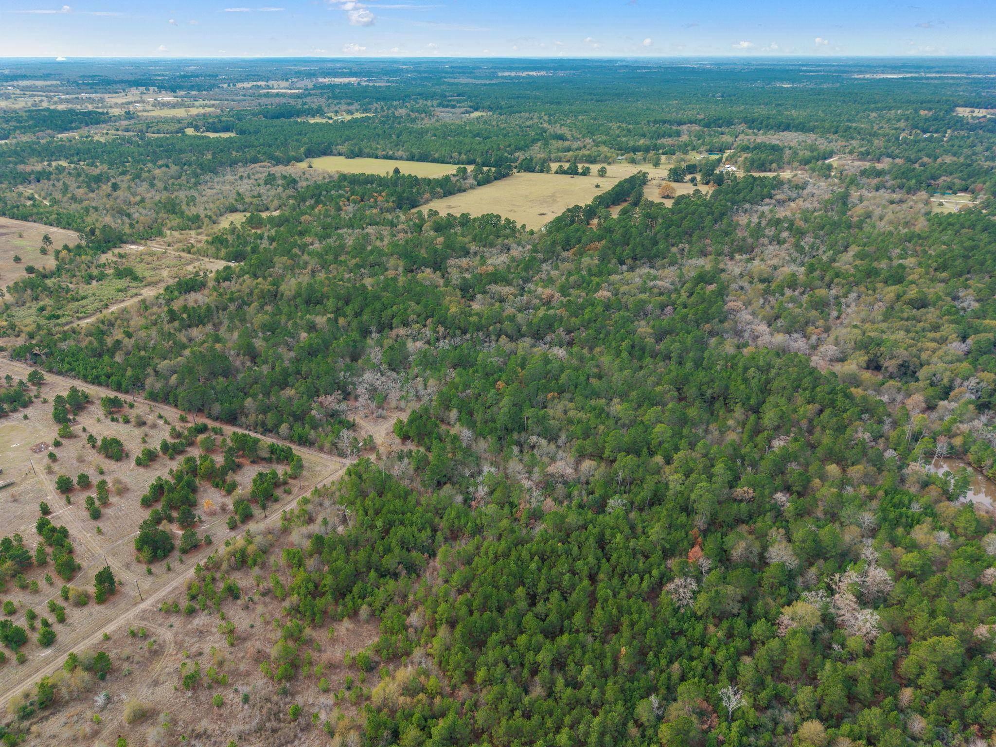 000 Dickey LOOP, Huntsville, TX 77831