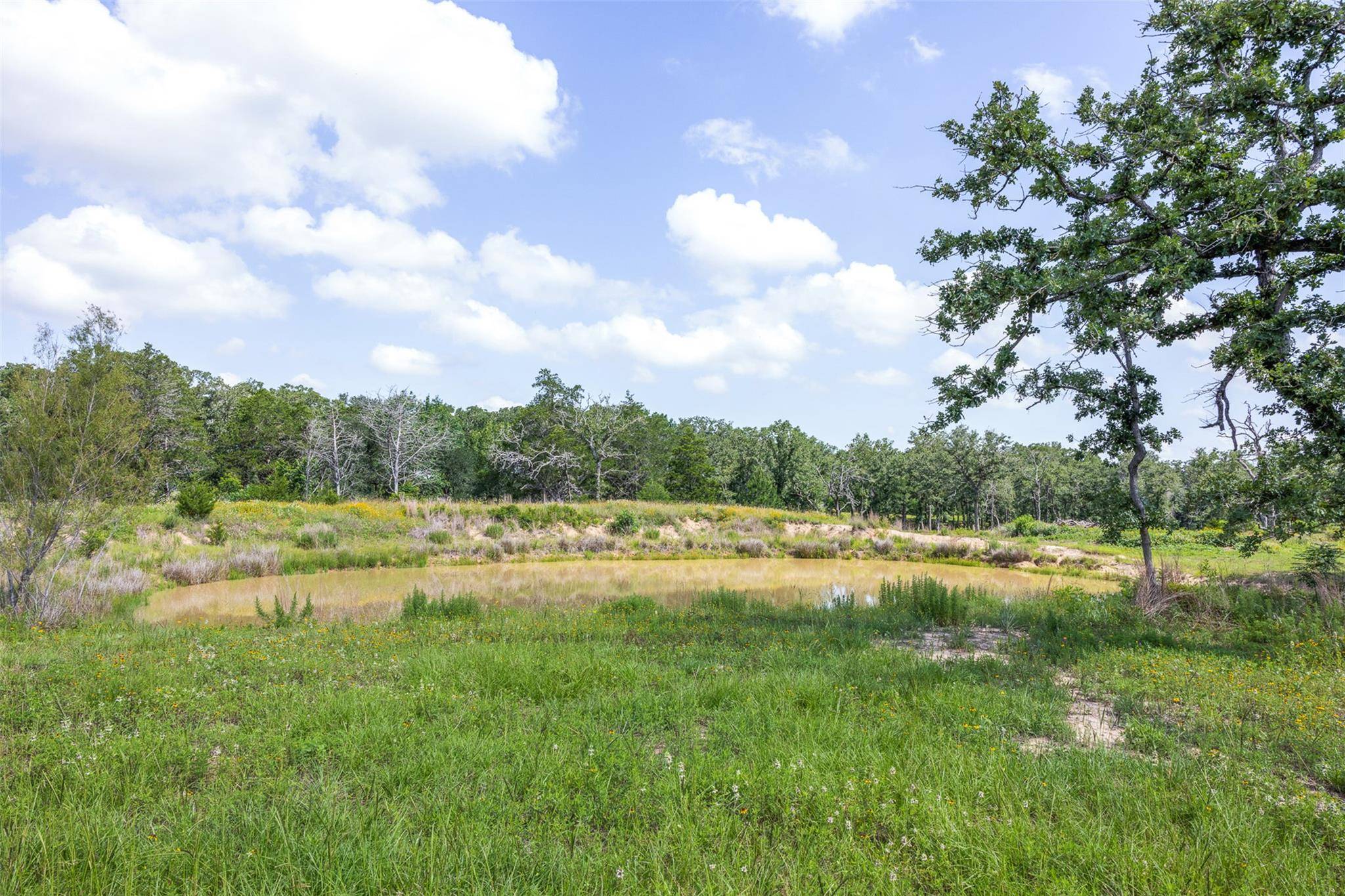 305 Cistern RD, Rosanky, TX 78953