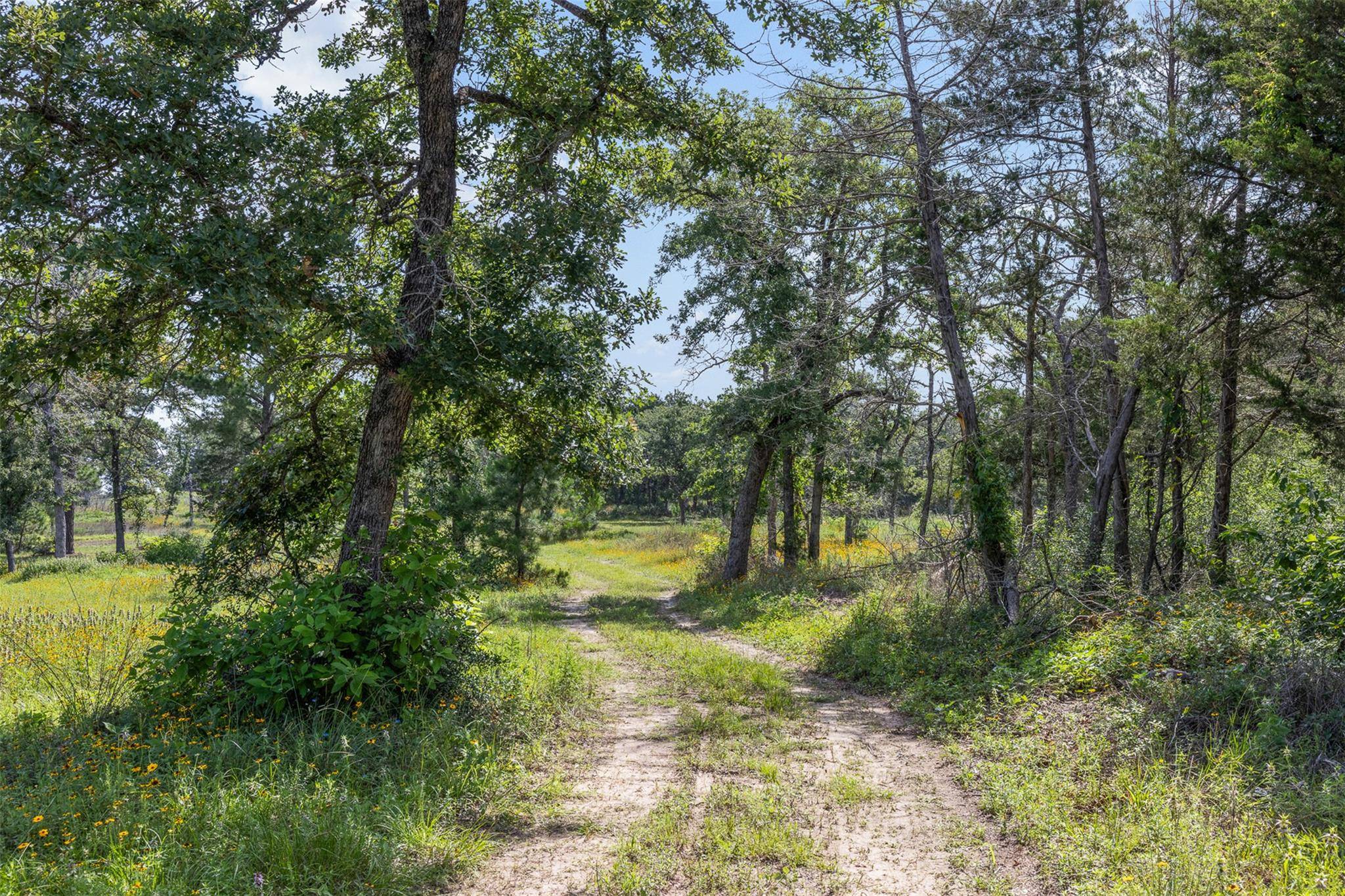 305 Cistern RD, Rosanky, TX 78953