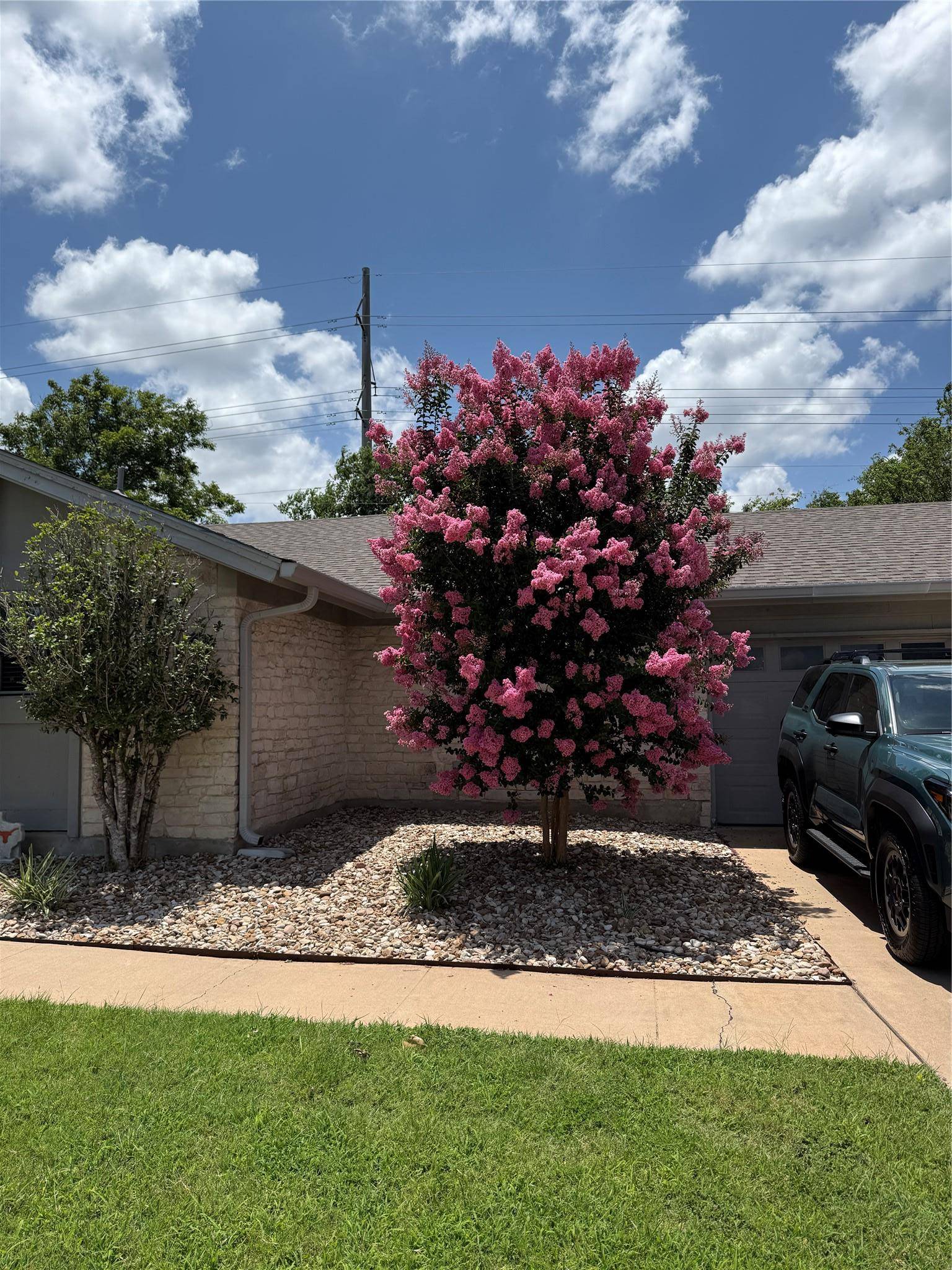 1002 Deep Wood DR, Round Rock, TX 78681