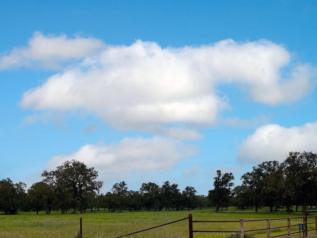 2231 Greens Creek RD, Ledbetter, TX 78946