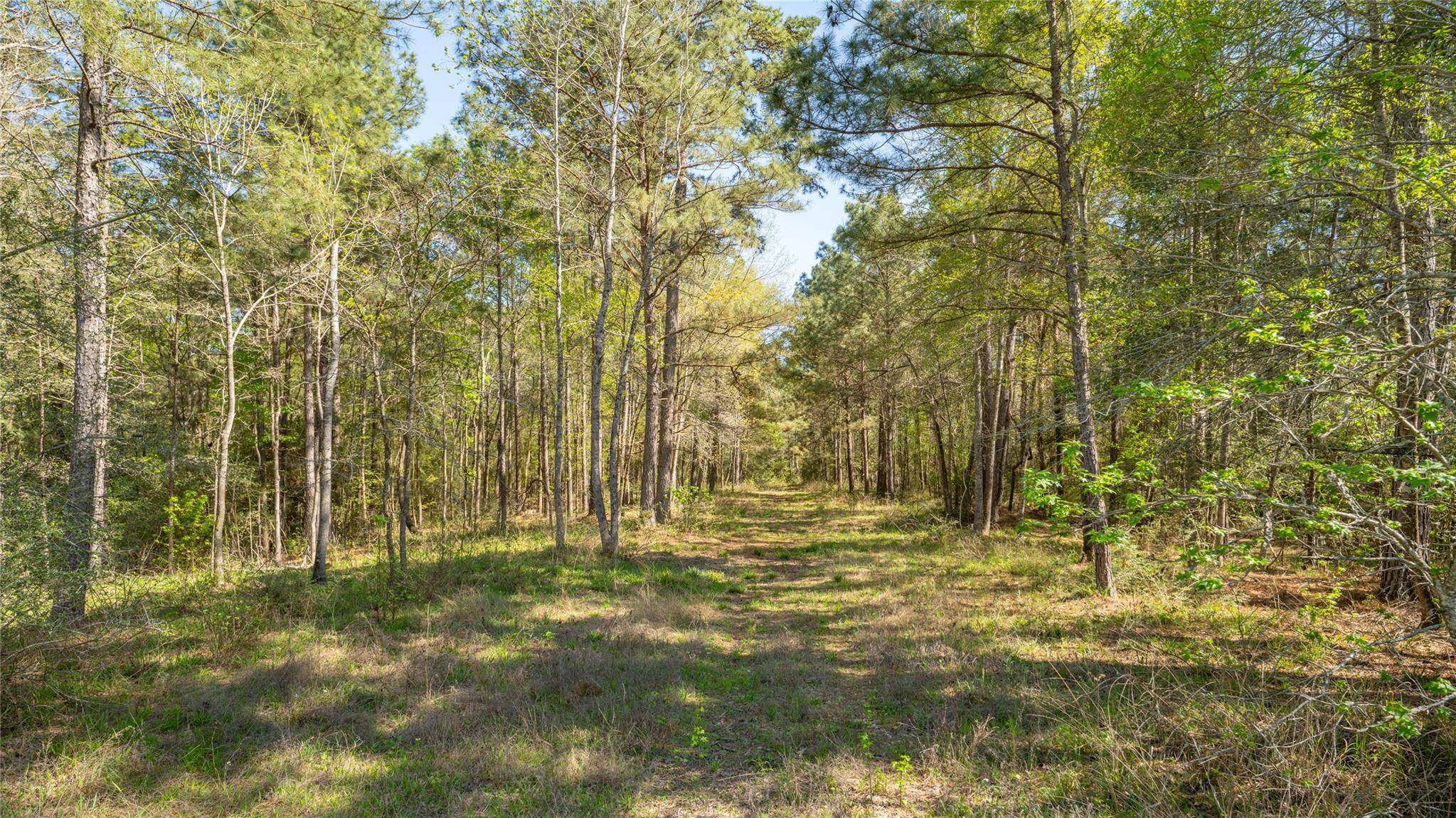 000 Bighorn RD, Huntsville, TX 77340