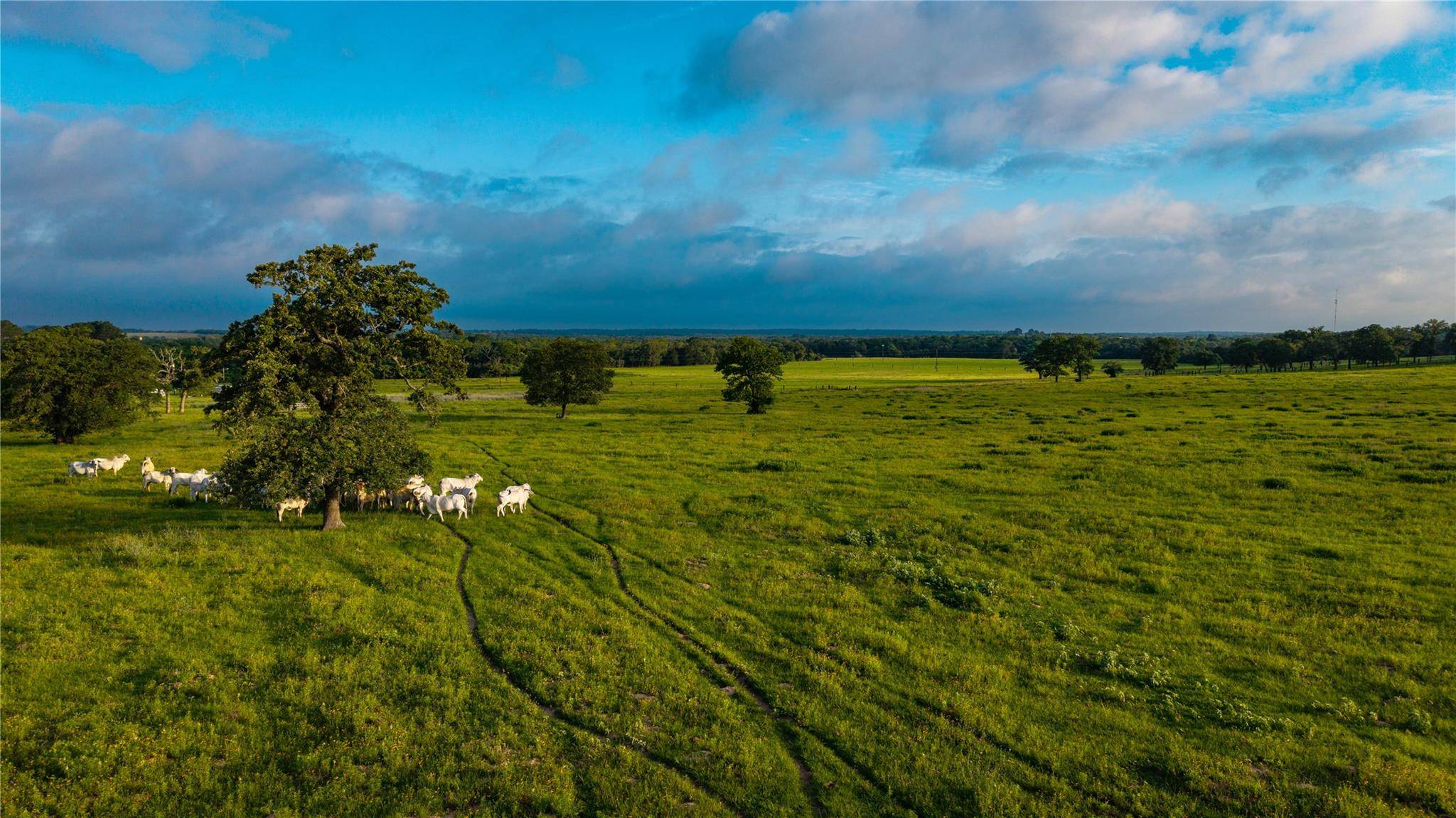 000 Hofferek RD, Rosanky, TX 78953