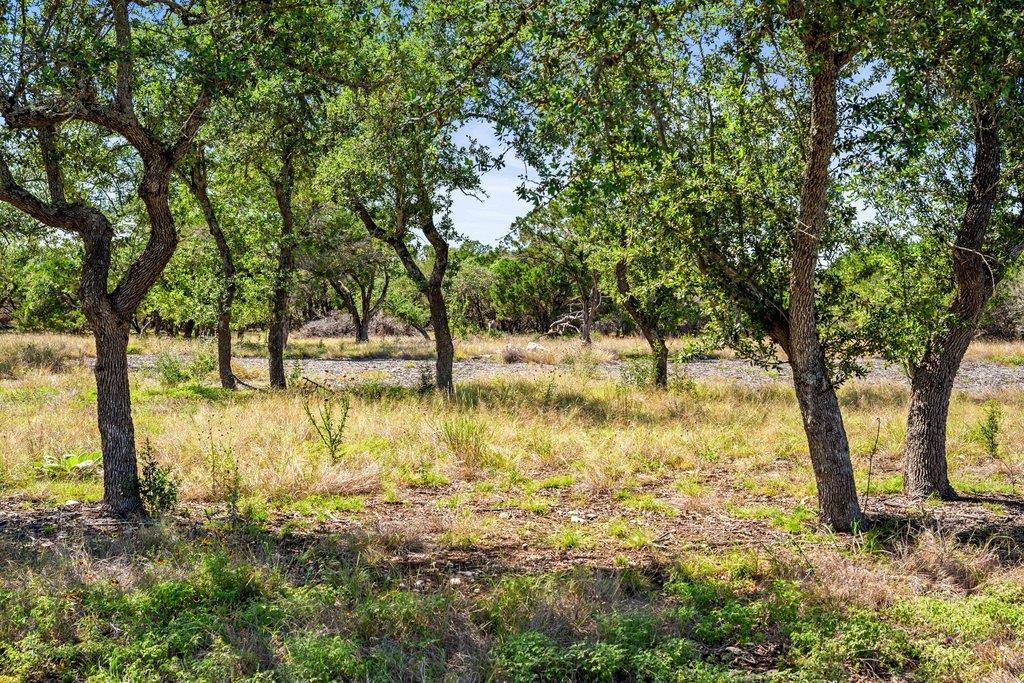 300 Stonegate LN, Dripping Springs, TX 78620