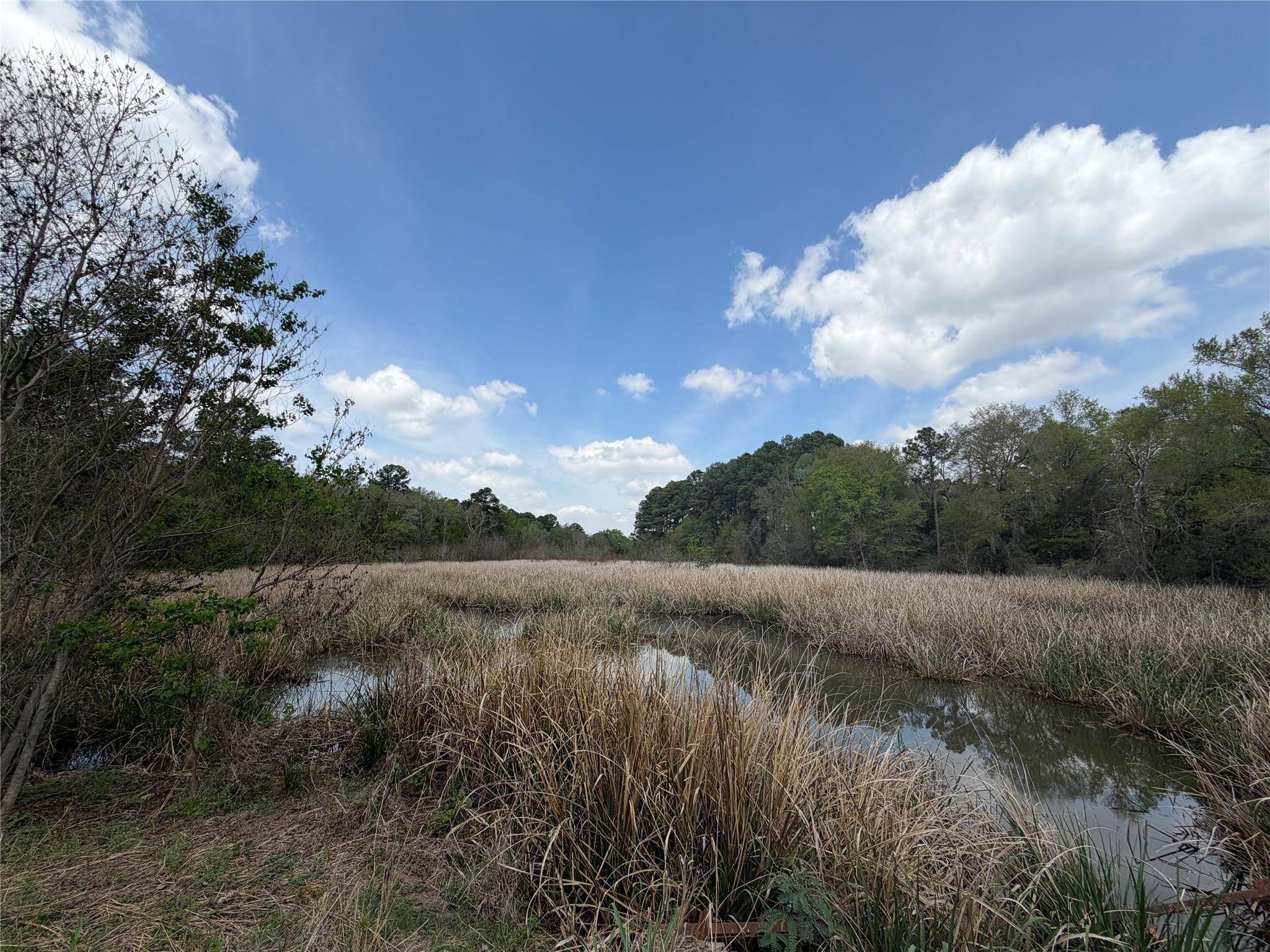 118 Edmonson Ranch RD, Mcdade, TX 78650