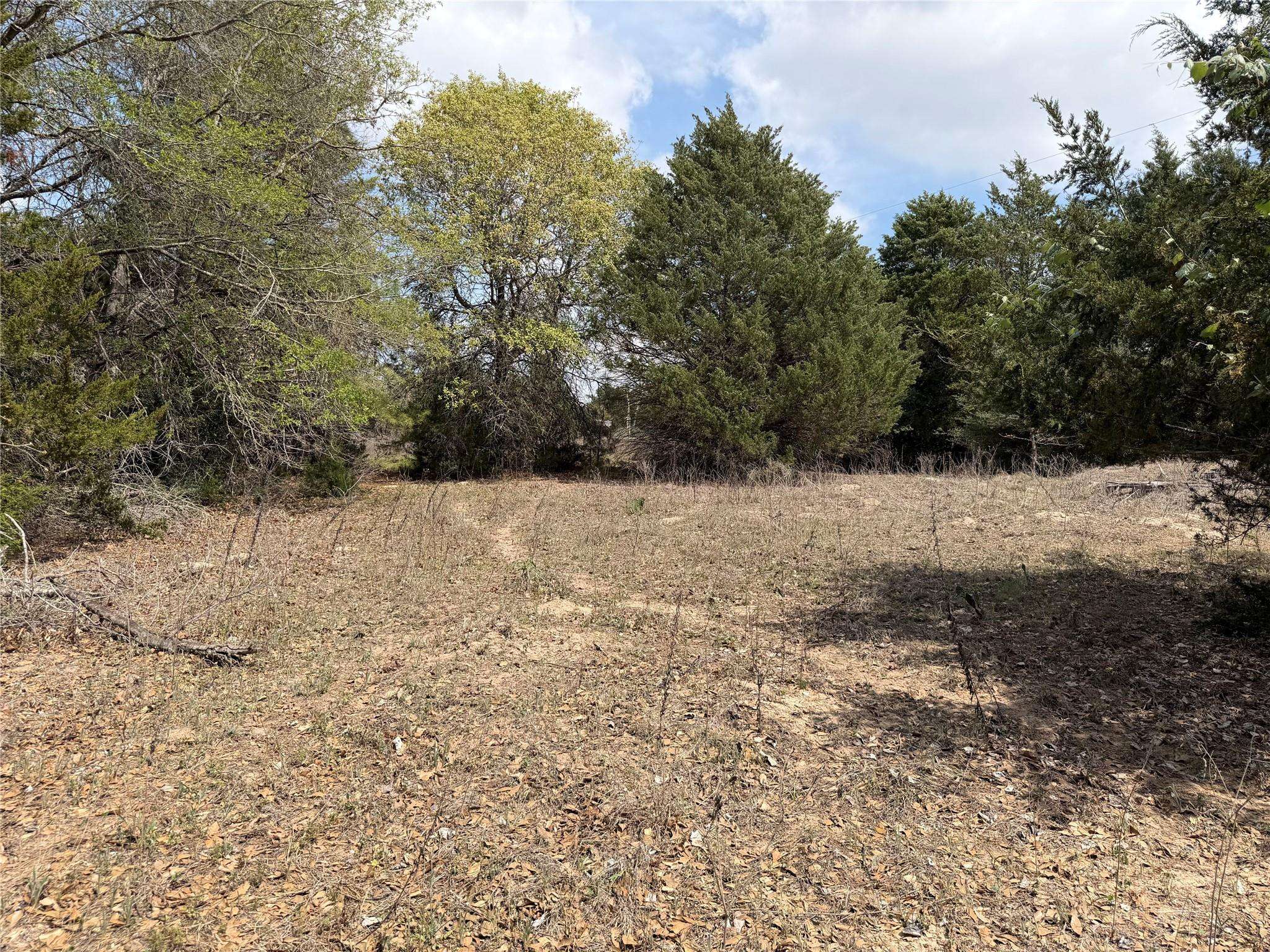 118 Edmonson Ranch RD, Mcdade, TX 78650