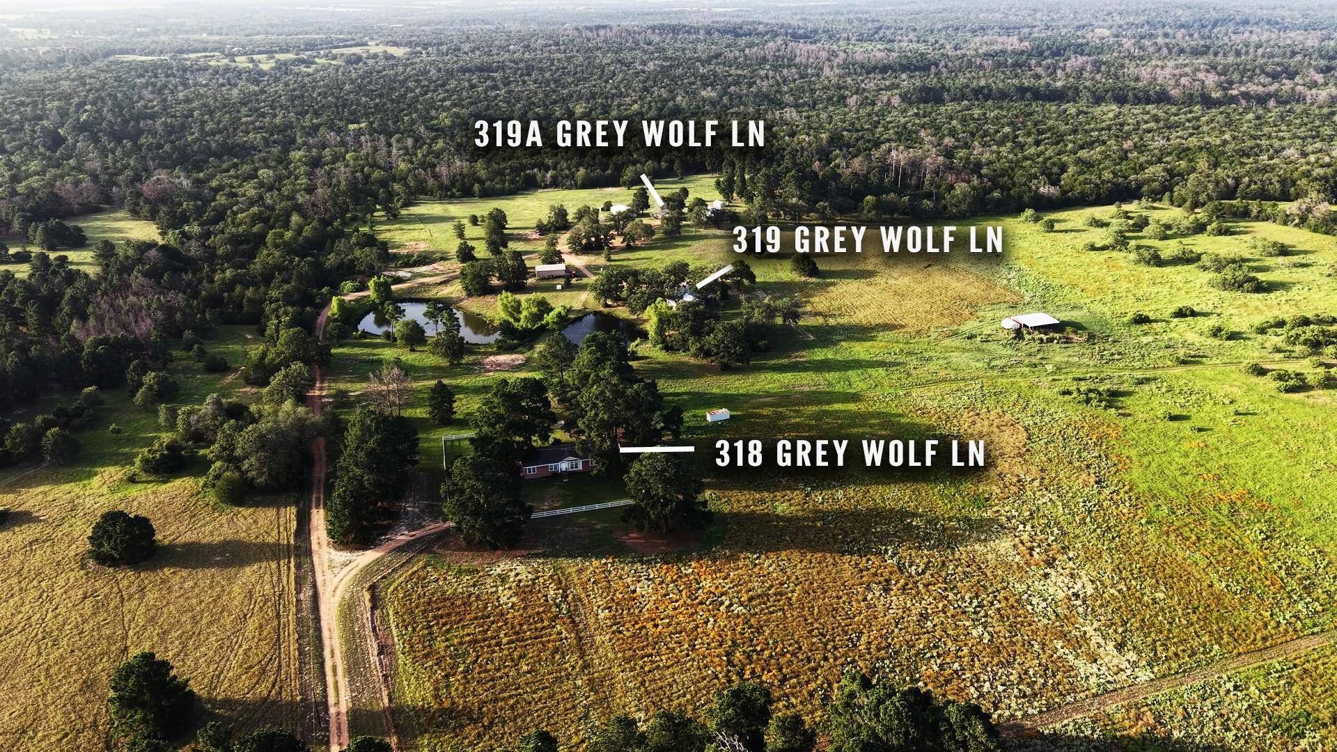 318 Grey Wolf LN, Bastrop, TX 78602