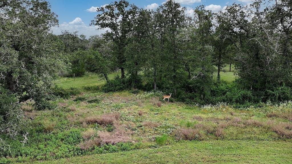 2625 Burke RD, Flatonia, TX 78941