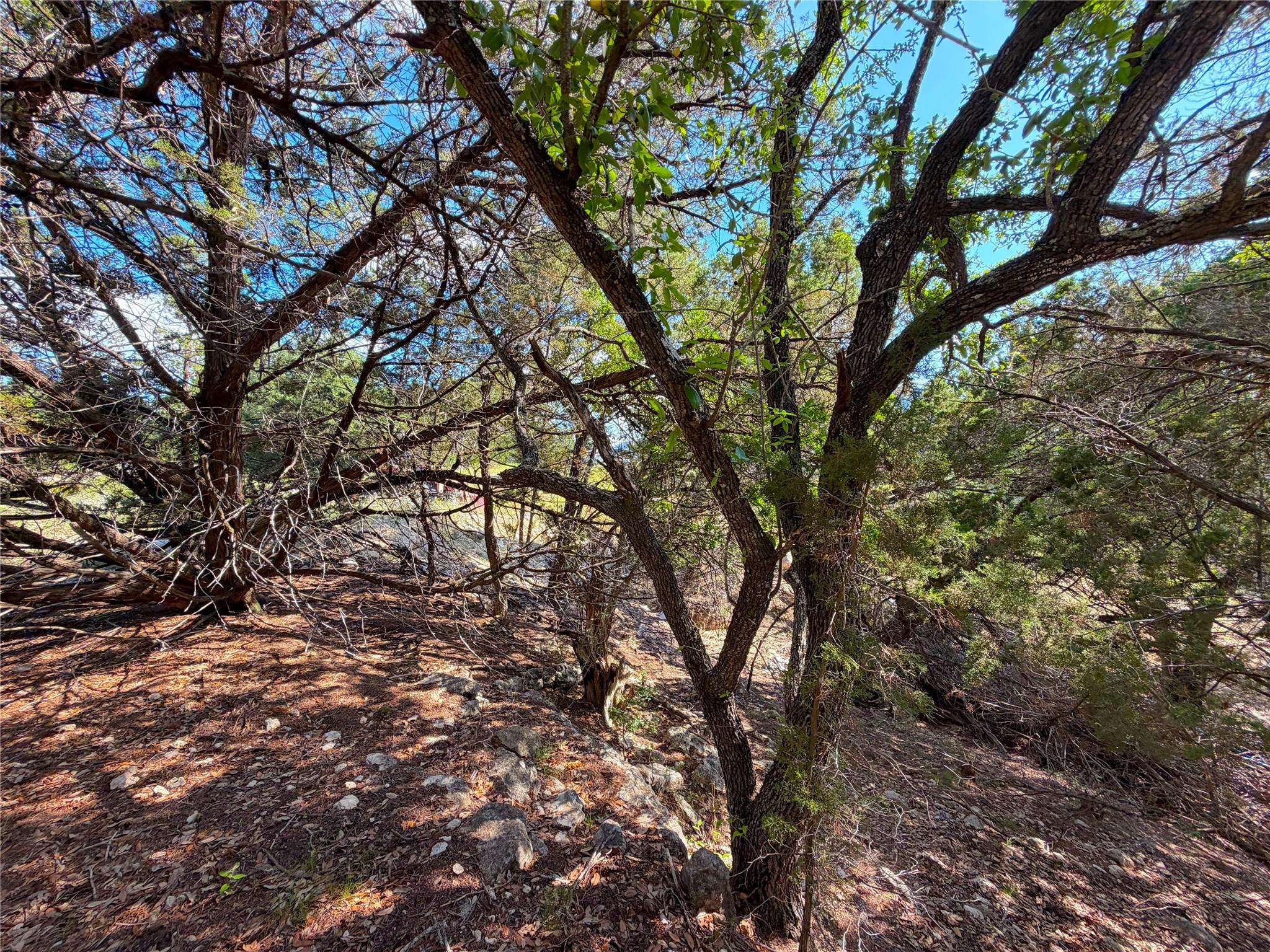2021 Ronda CT, Canyon Lake, TX 78133