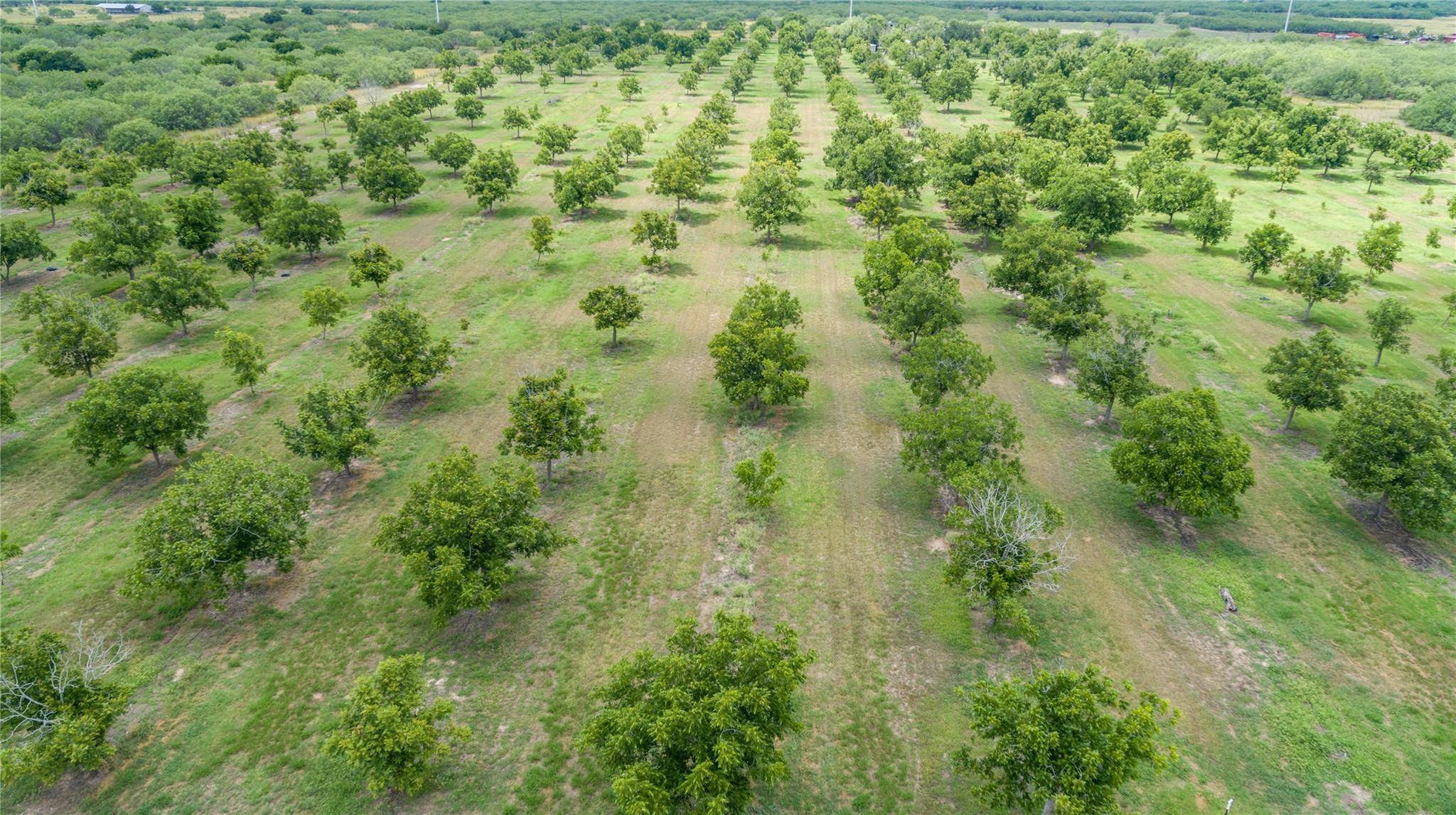 475 W County Road 418, Premont, TX 78375
