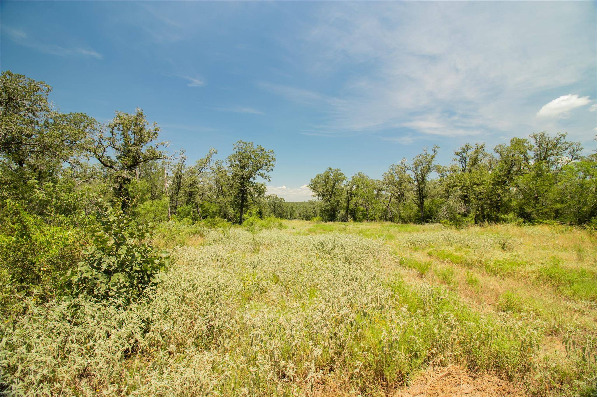 2564 Bluestem Crest LN, Kingsbury, TX 78638