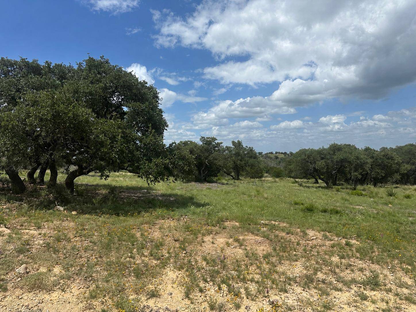 140 Longview LN, San Saba, TX 76877