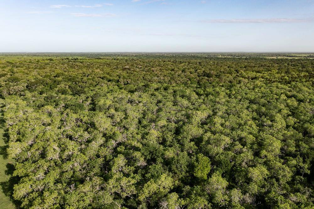 TBD Anchor Ranch Lp LOOP, Cistern, TX 78941
