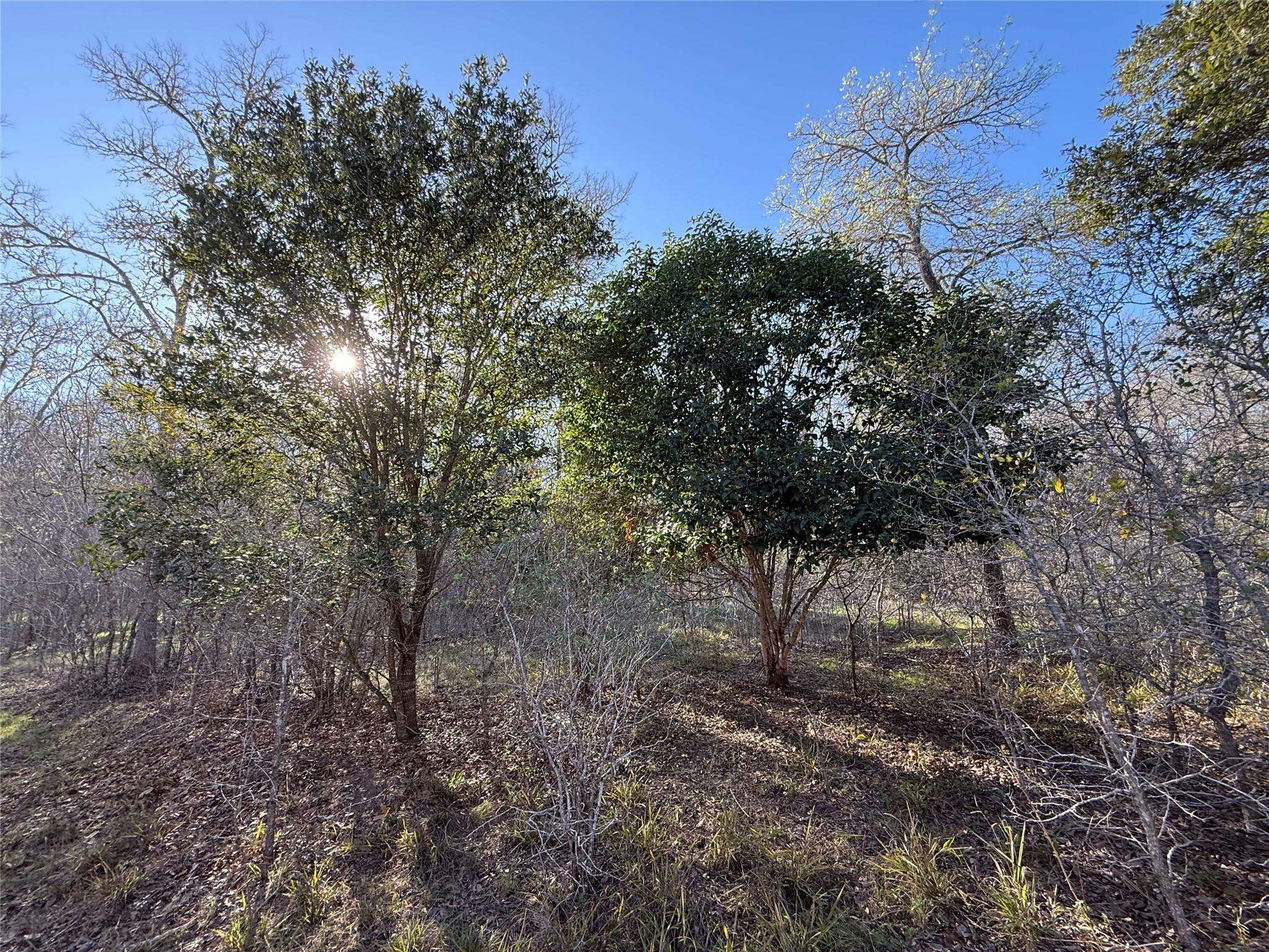 0 Country Club DR, Seguin, TX 78155