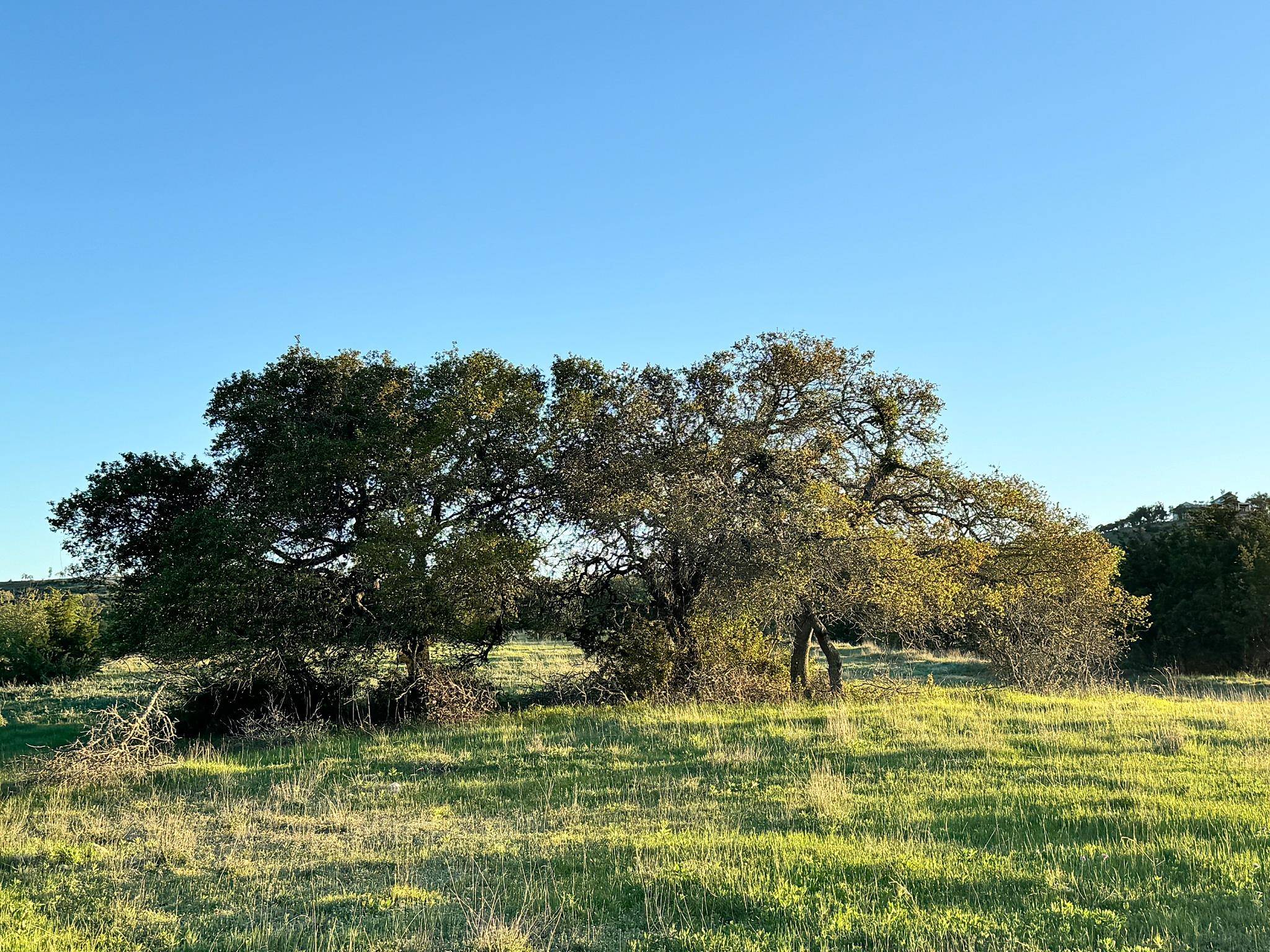 105 Majestic Hills, Blanco, TX 78606