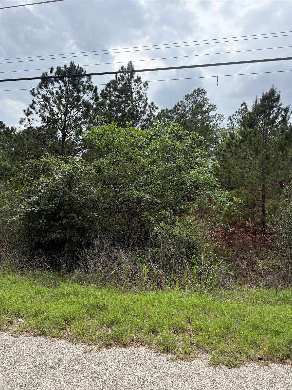 Lot 1360 N Kuapo DR, Bastrop, TX 78602