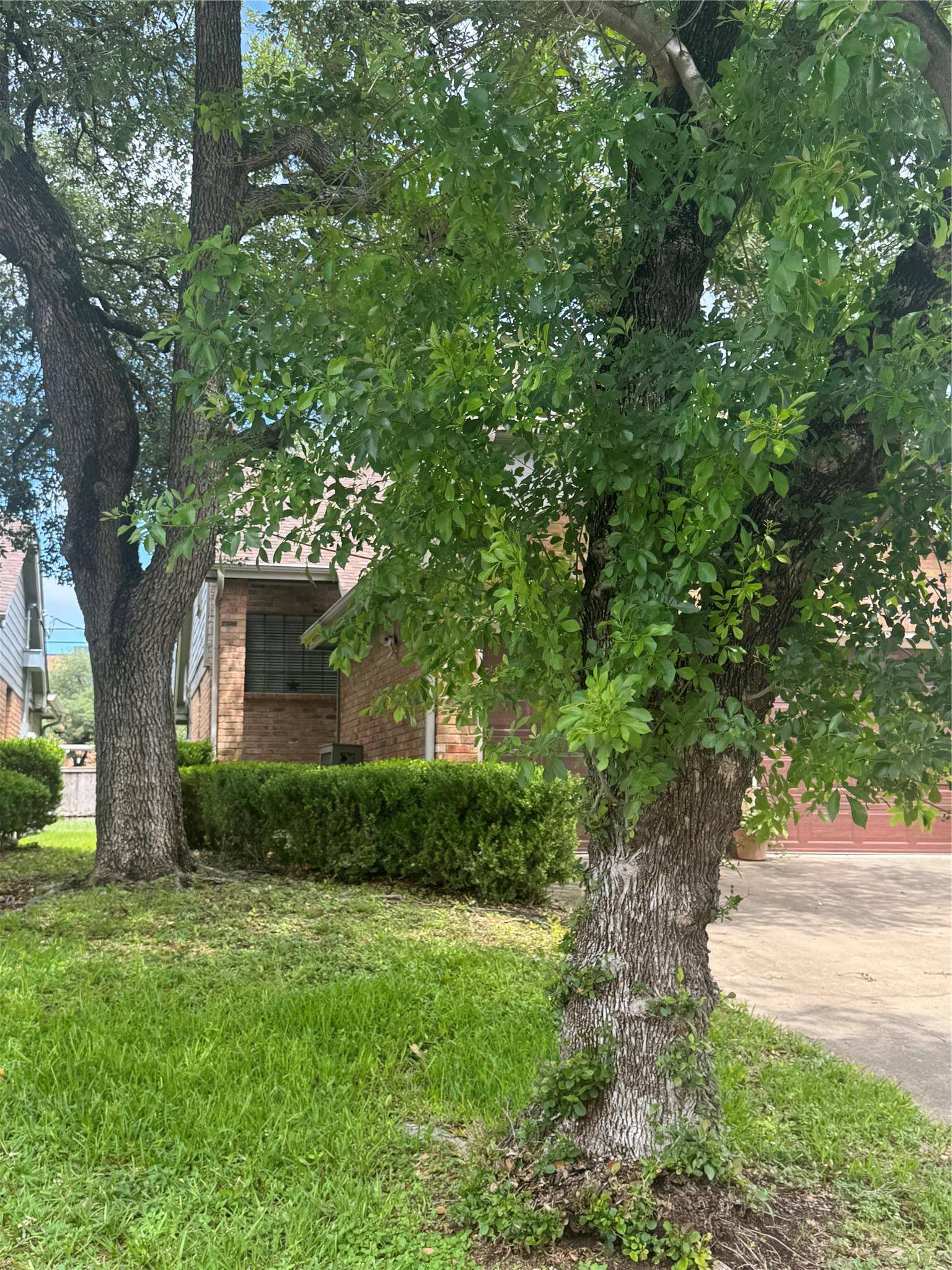 8502 Cima Oak LN #A, Austin, TX 78759