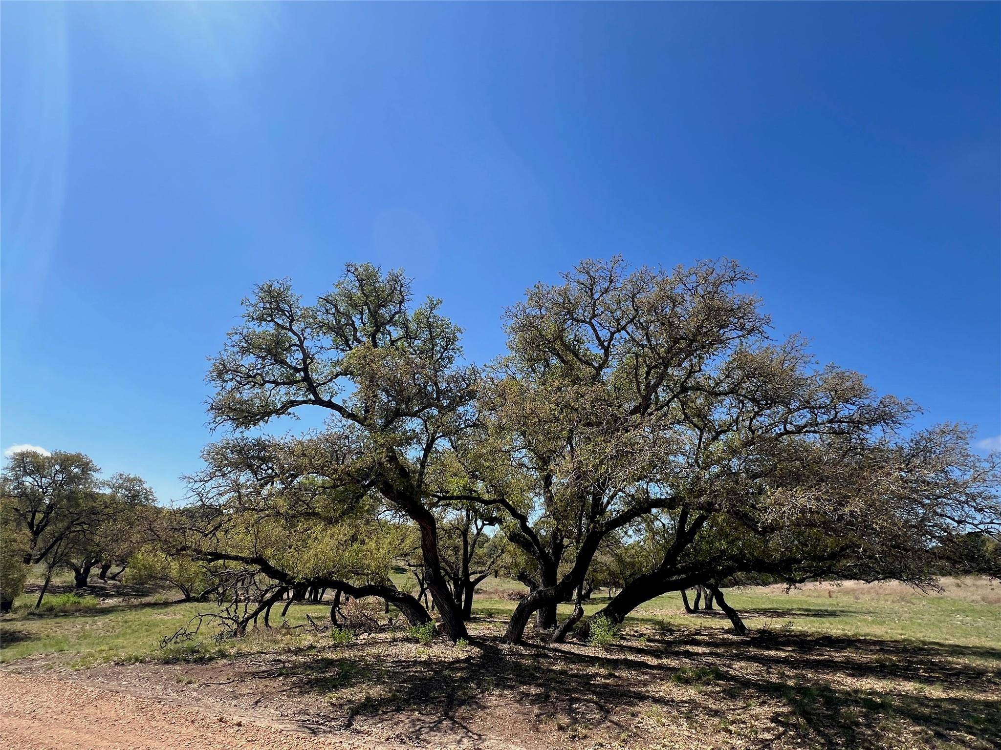 1 Barlow DR, Briggs, TX 78608