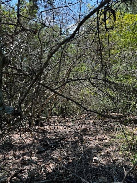 157 Lamaloa LN, Bastrop, TX 78602