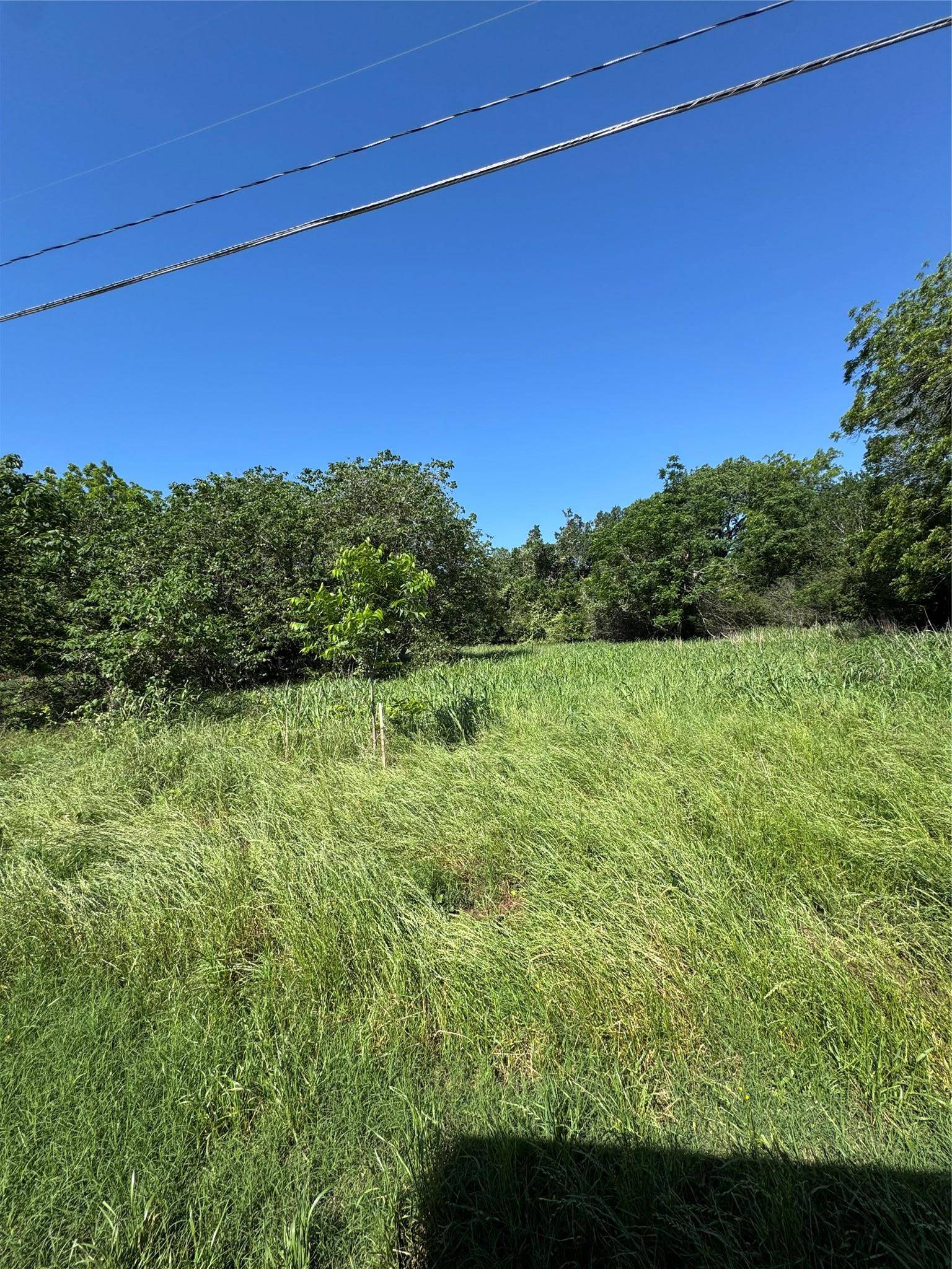 600 Gazley ST, Smithville, TX 78957