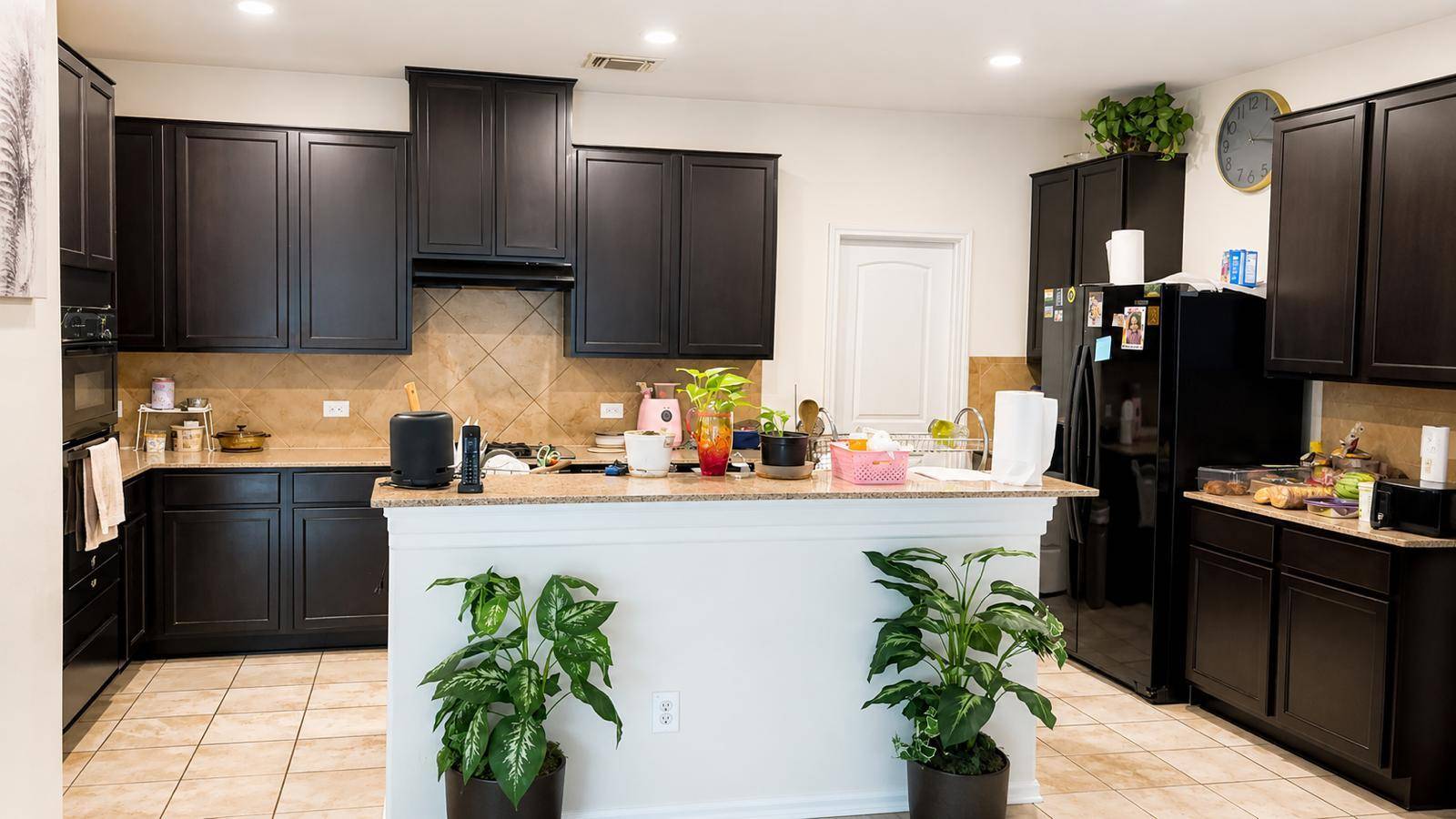 1428 Macfarland ST, Leander, TX 78641