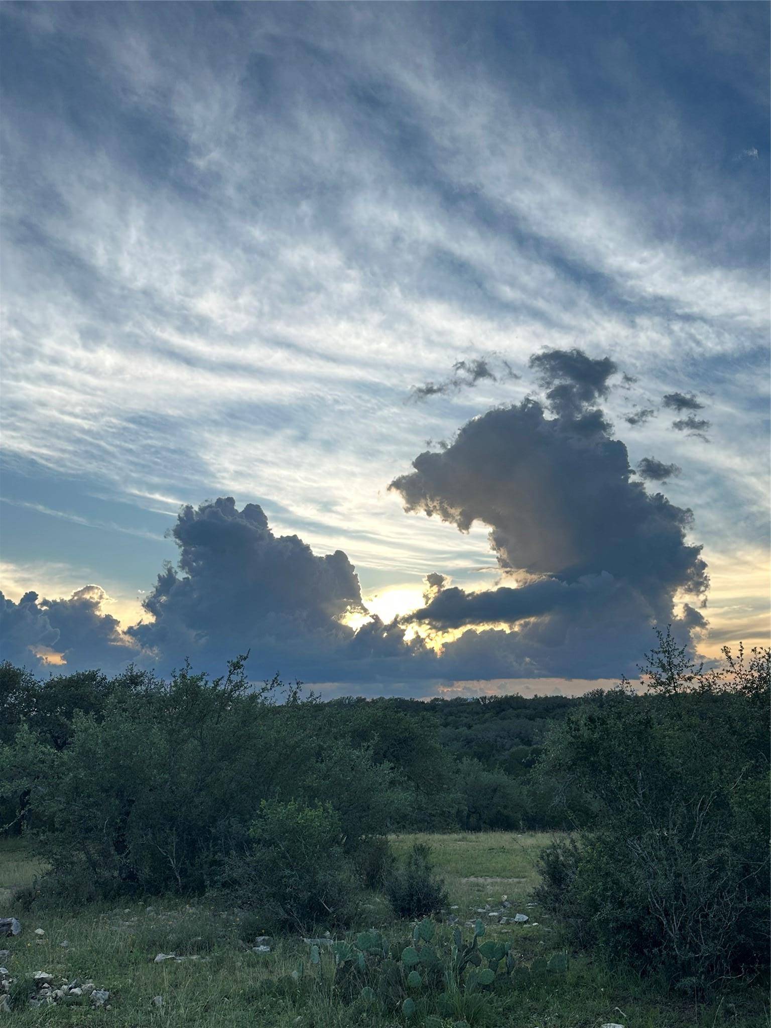 320 Valley Oak DR, Dripping Springs, TX 78620