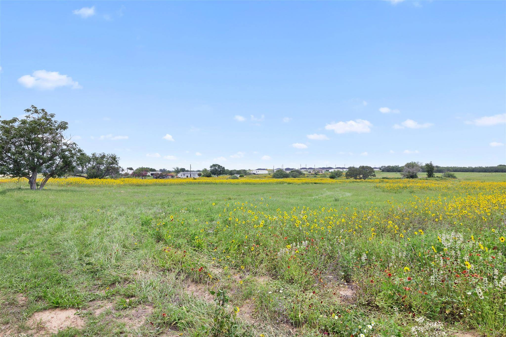 Lot 1 County Road 342, La Vernia, TX 78121