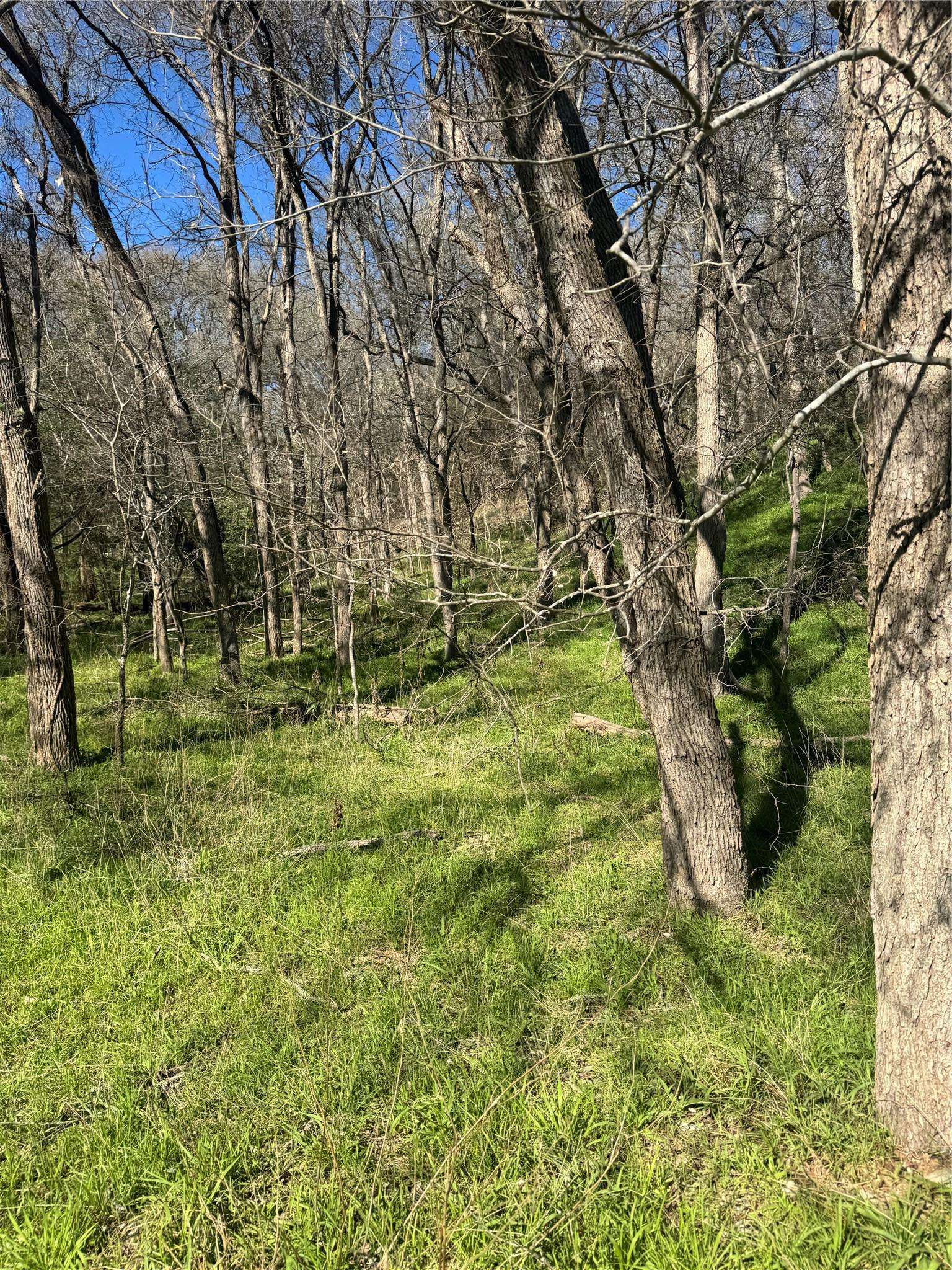 Lots 638. 639. 640 Kaukonahua LN, Bastrop, TX 78602