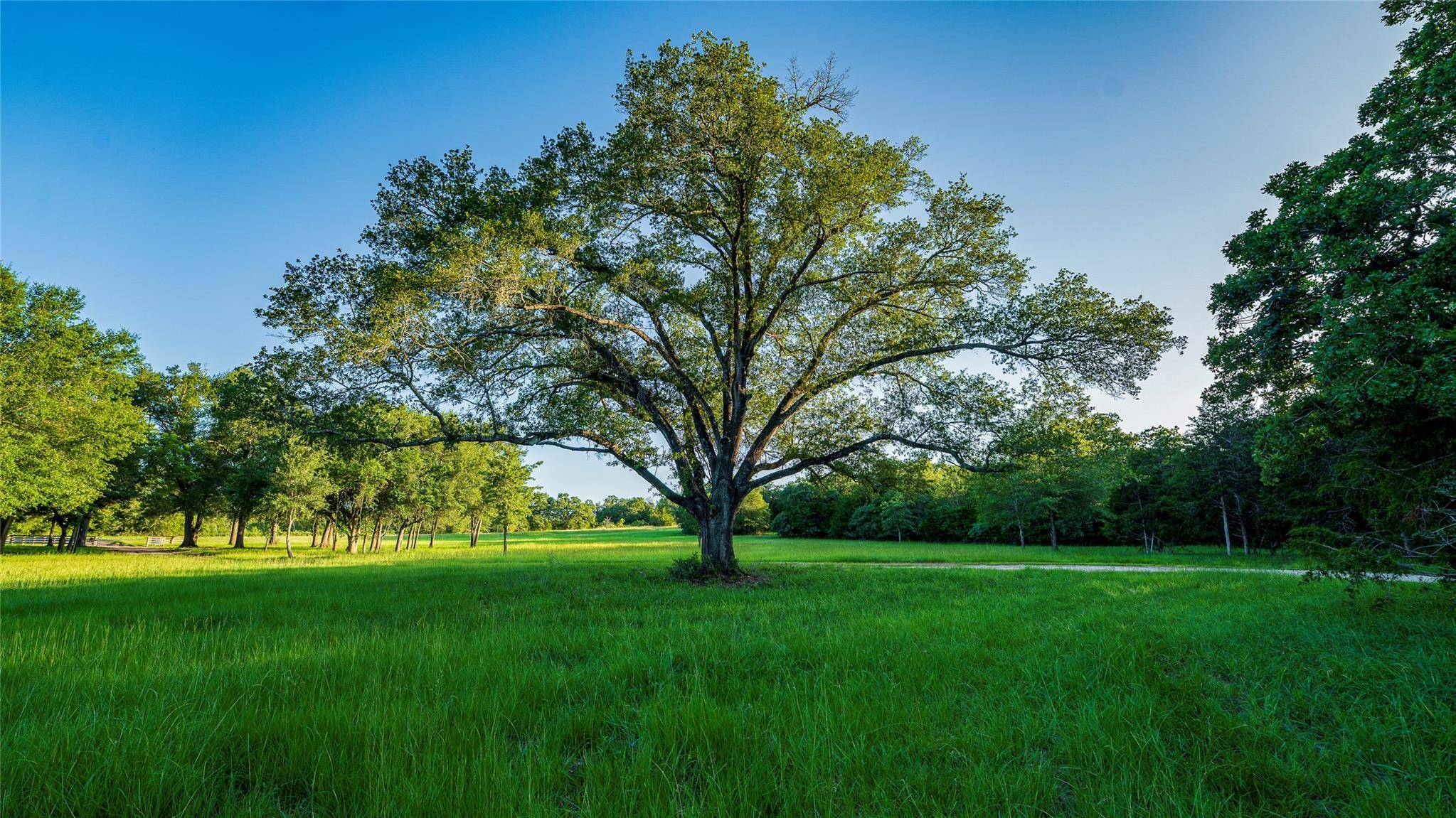 1462 County Road 313, Lexington, TX 78947